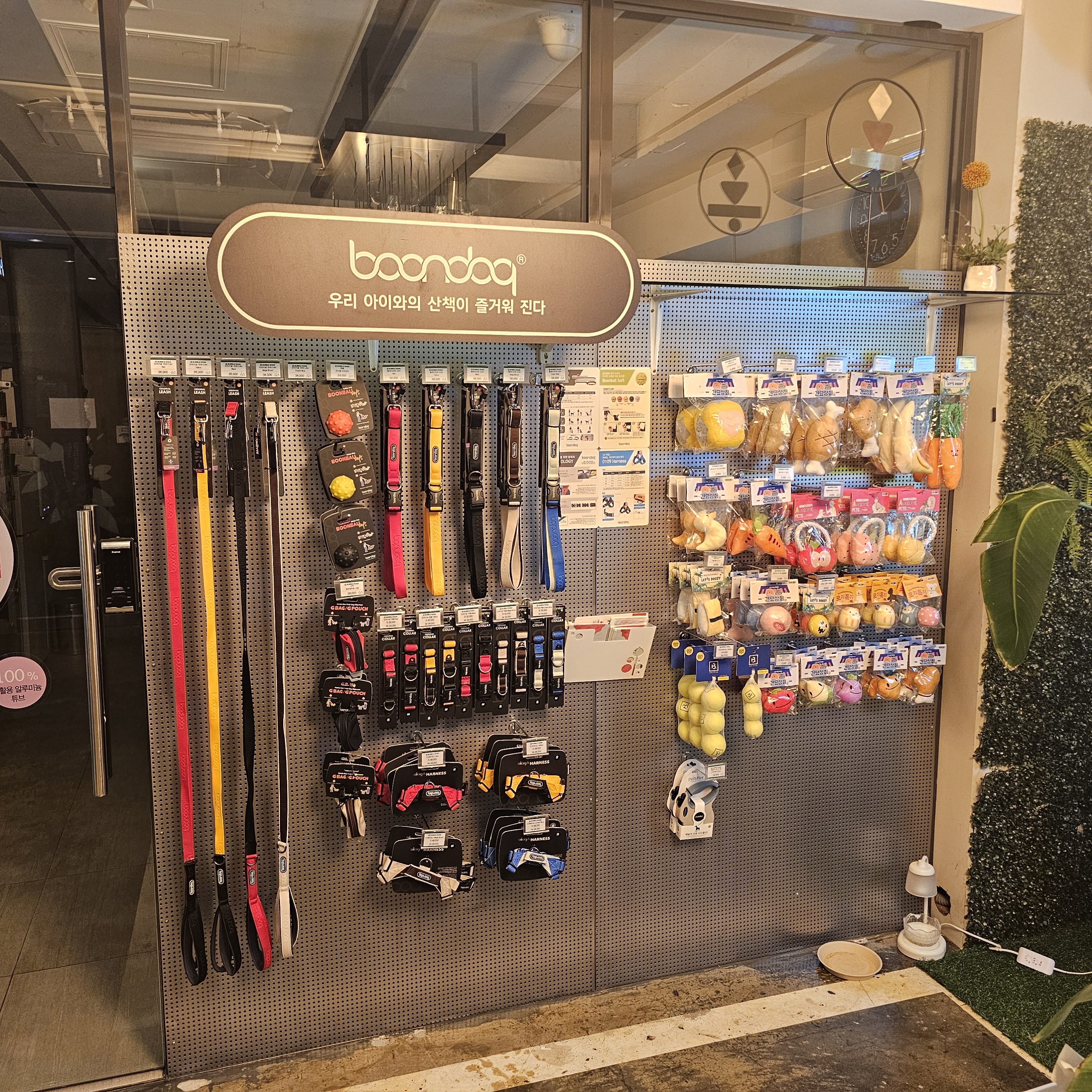 버블독스 종로혜화점 대표 이미지