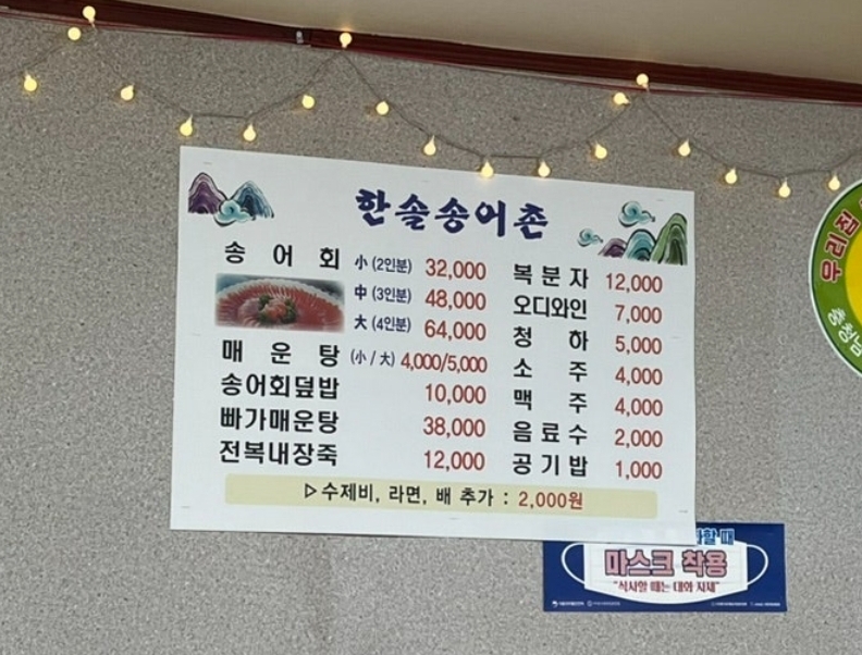 한솔송어촌