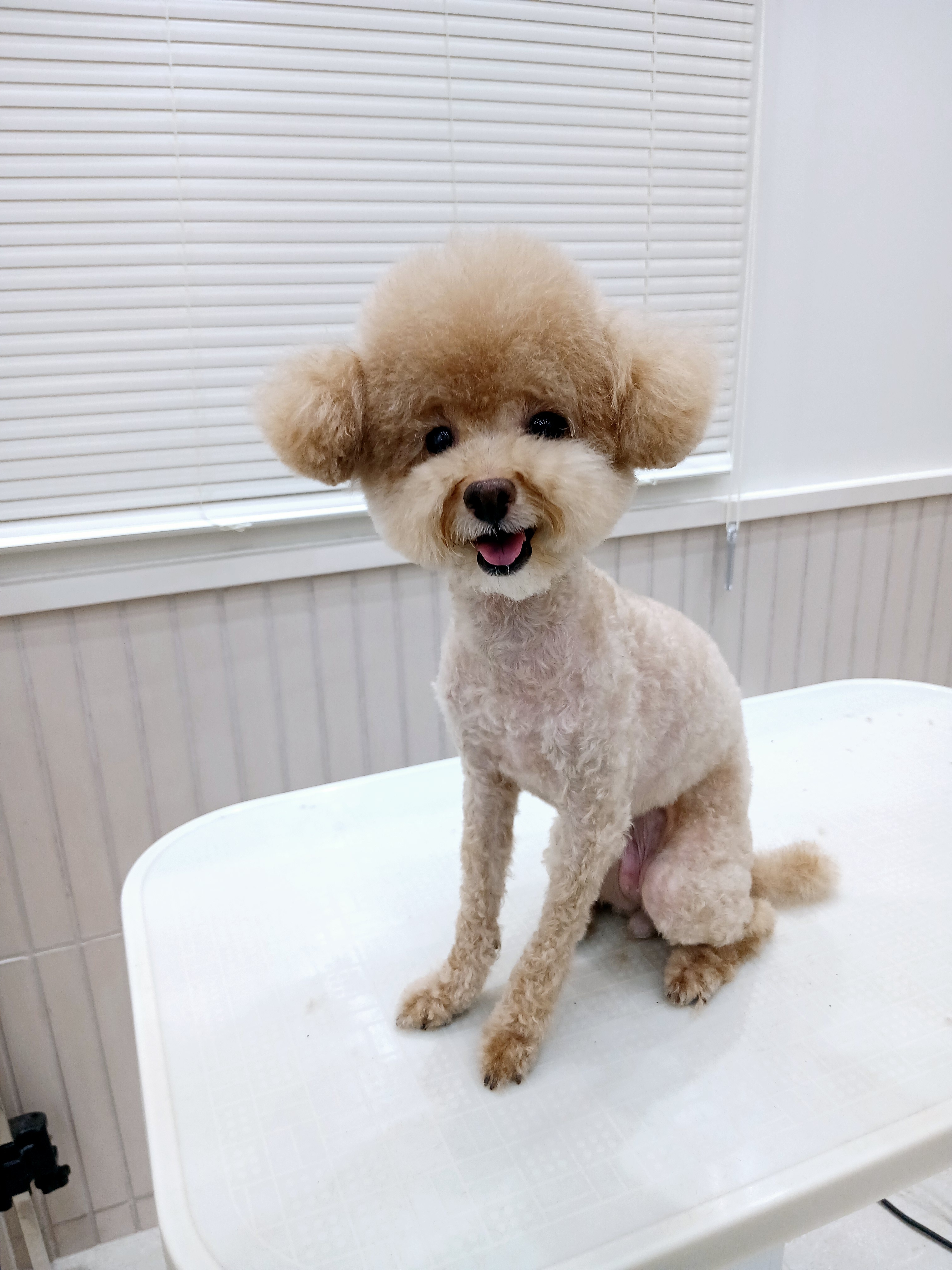 까만콩쌀알 대표 이미지