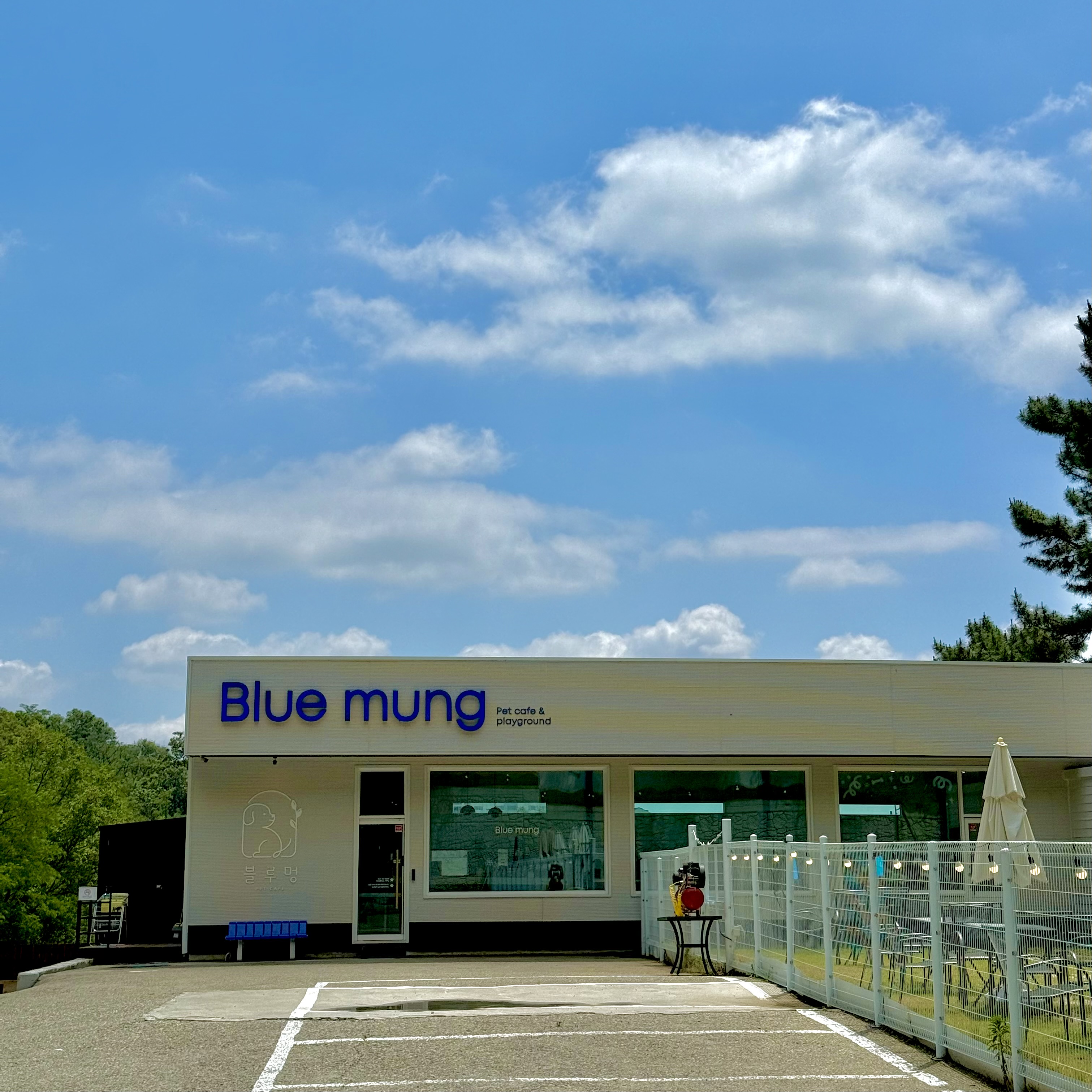 블루멍 반려동물 동반 애견카페