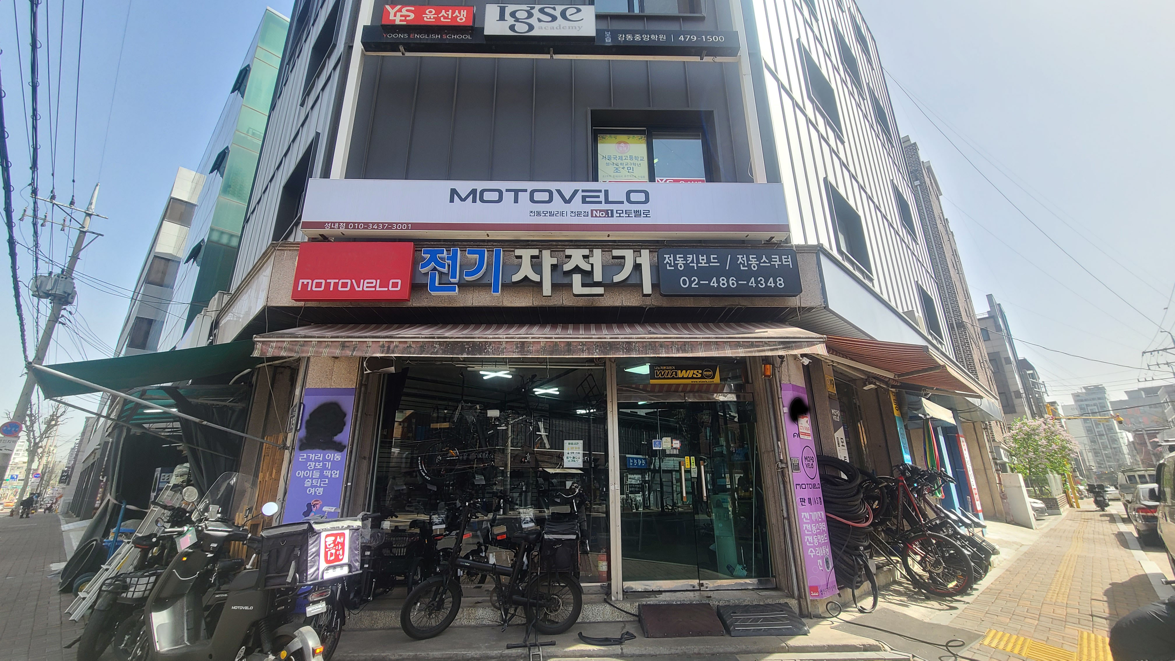 고르고사고 대표 이미지