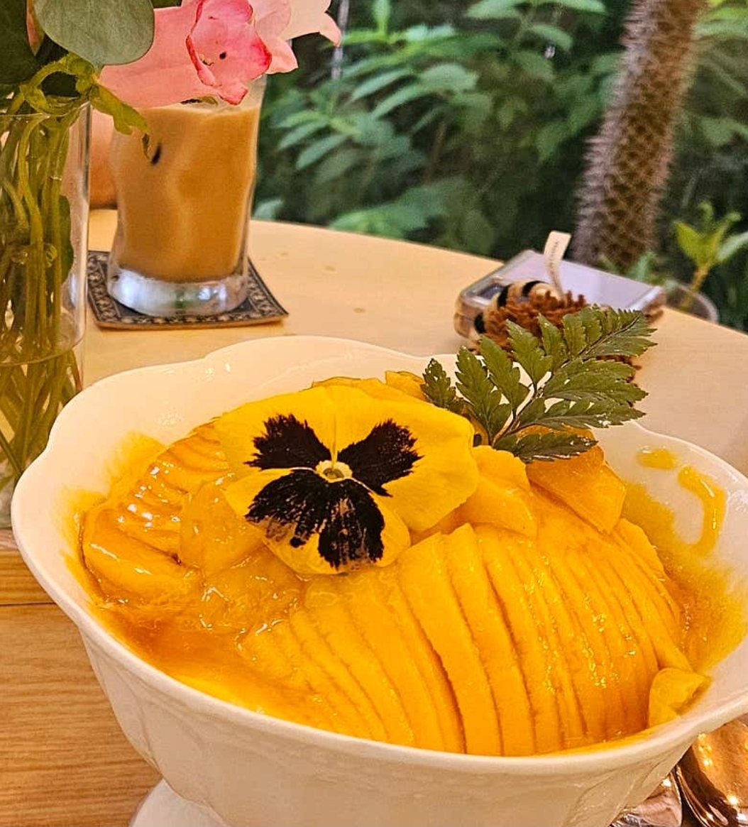 카페시엘로 4