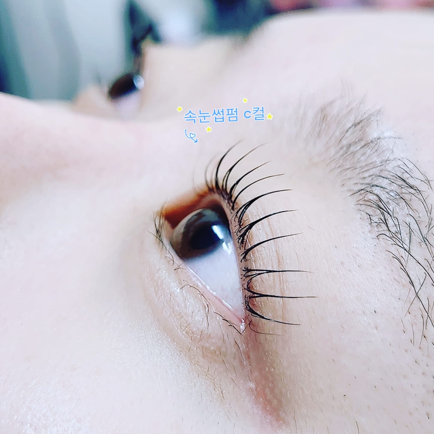 눈썹공주 대표 이미지