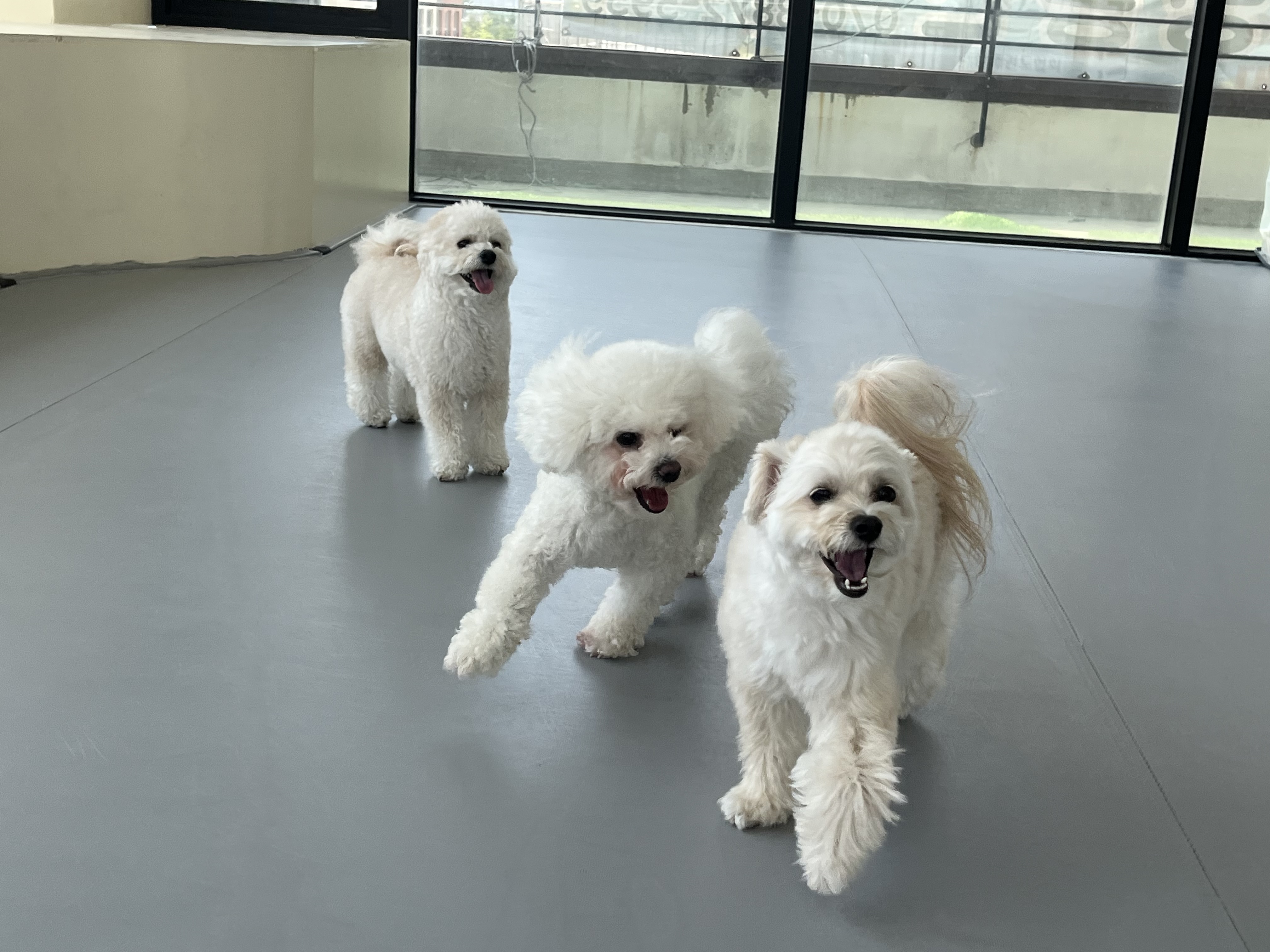 솔항아리바베큐 4