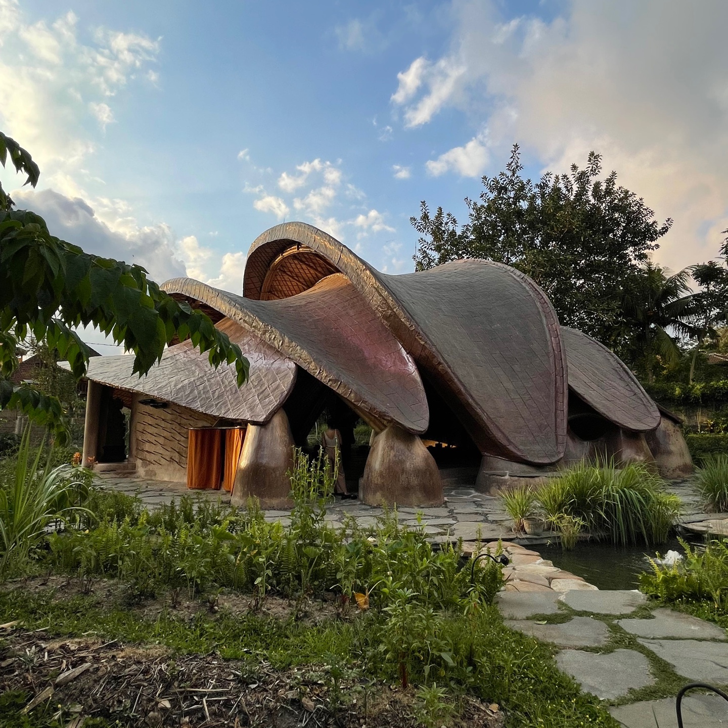 더라피스 대표 이미지