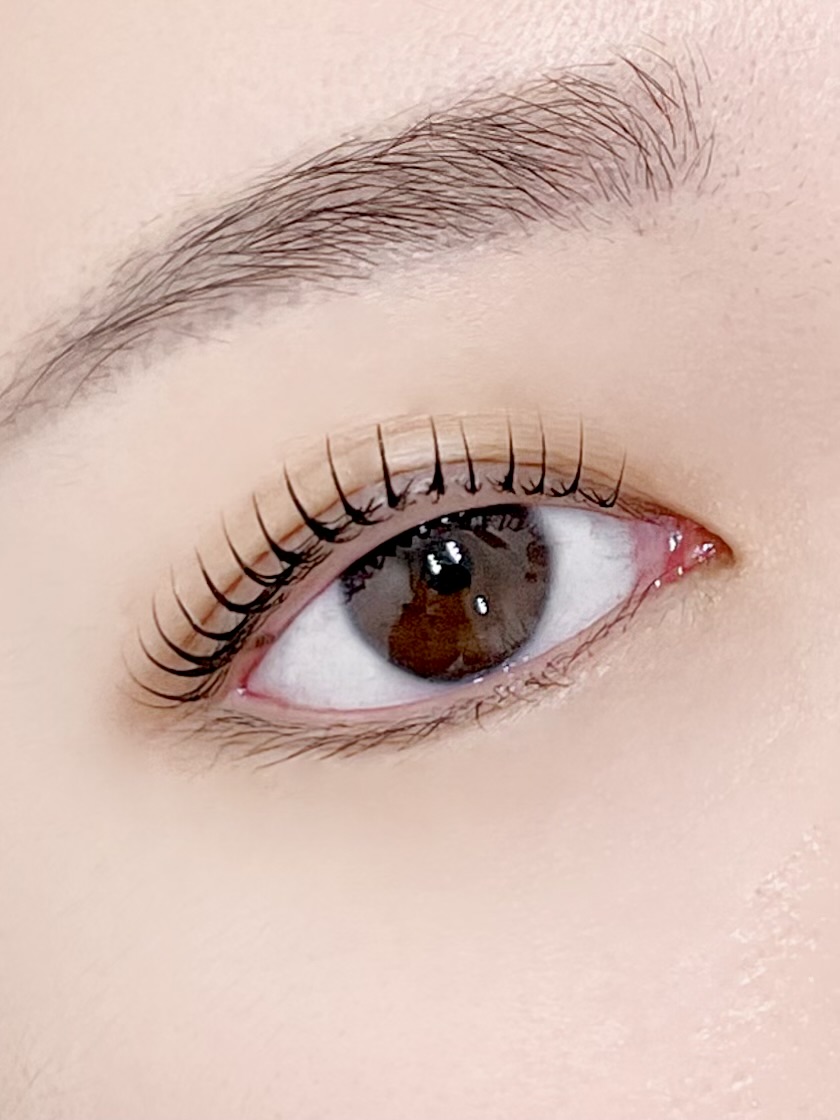 모니드 대표 이미지