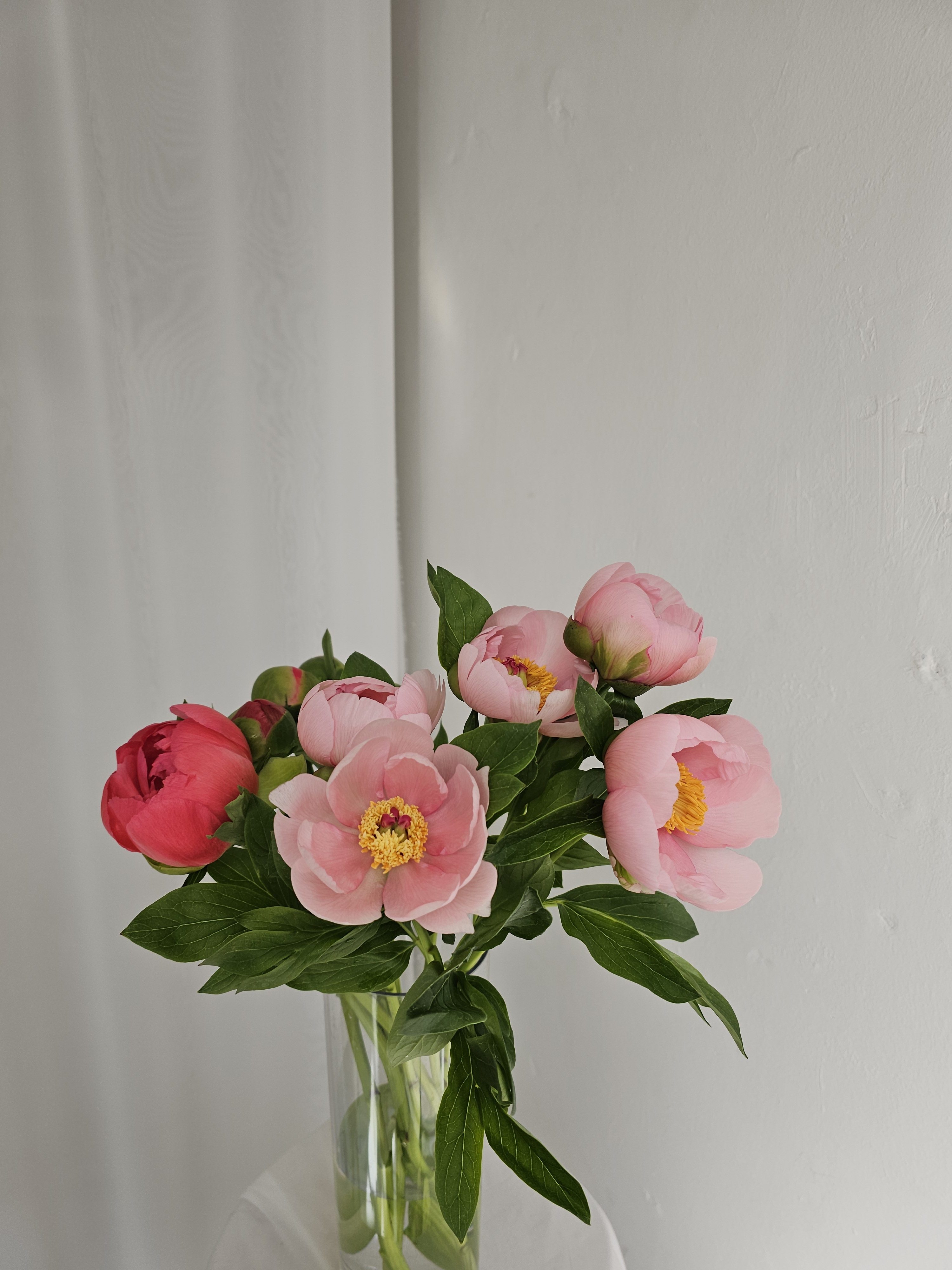 핀코너