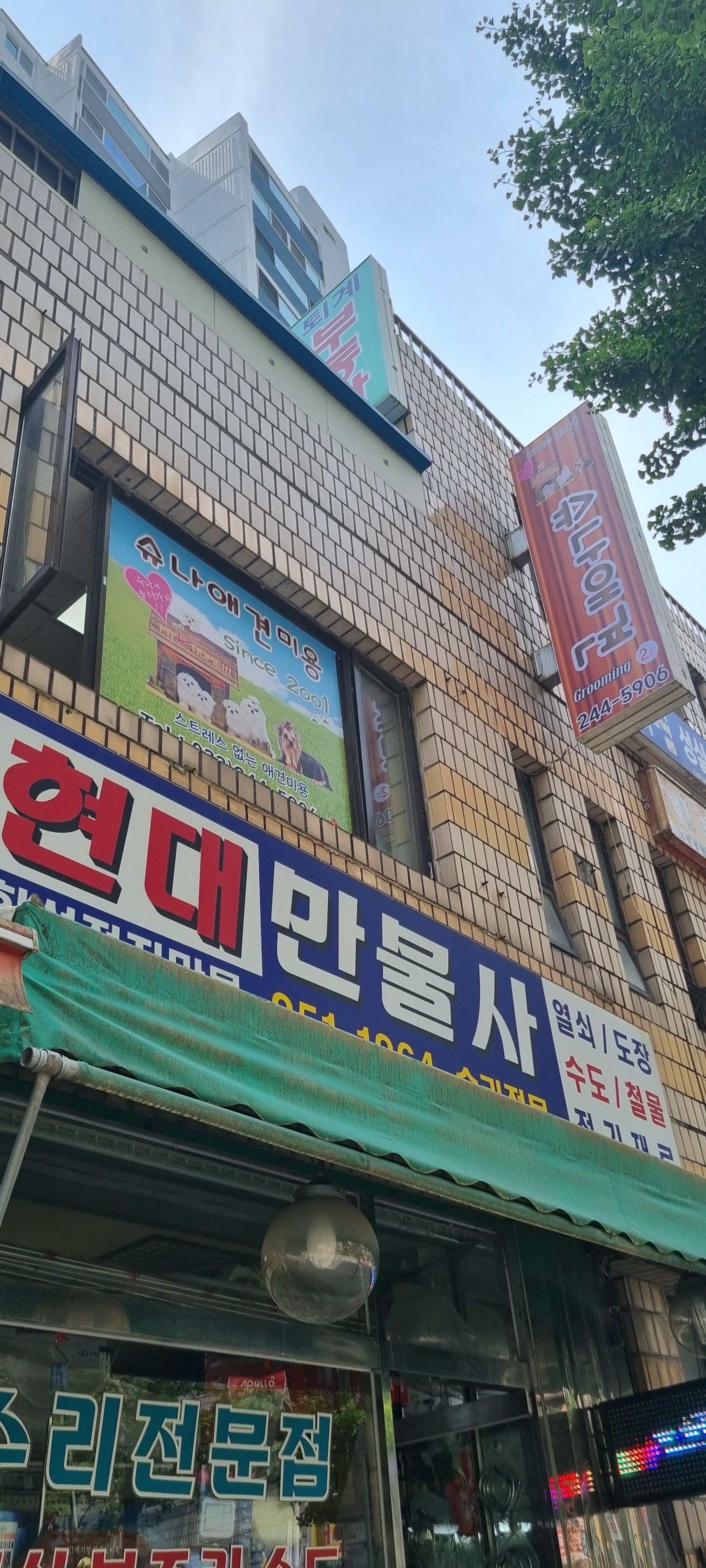 슈나애견미용 대표 이미지