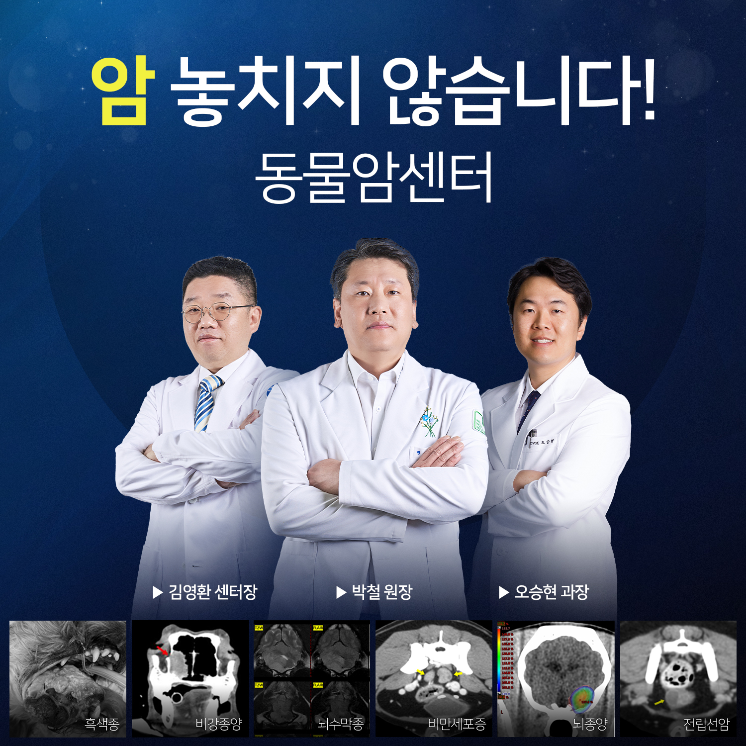 로얄동물메디컬센터 본원 대표 이미지
