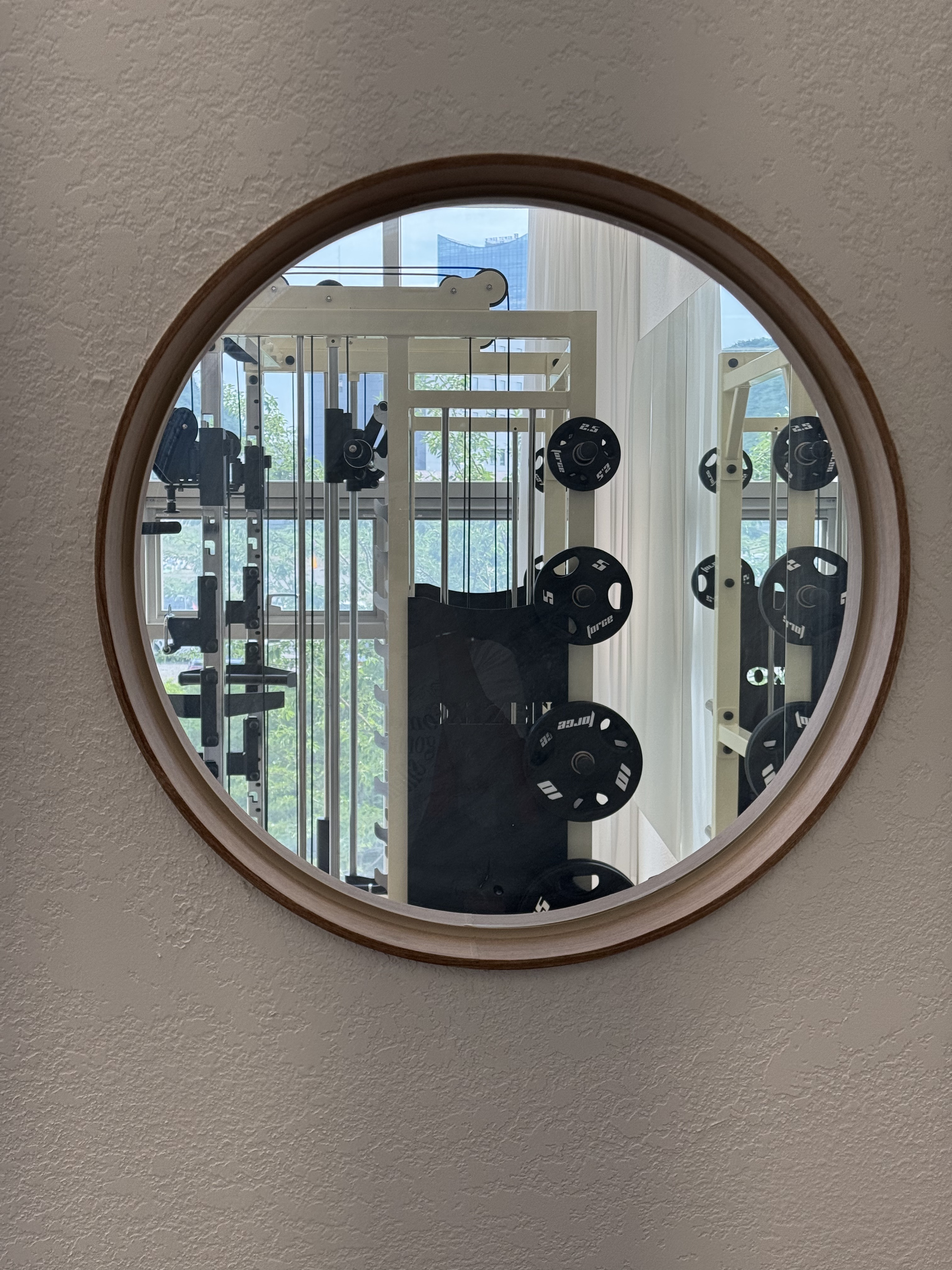 시너짐 대표 이미지