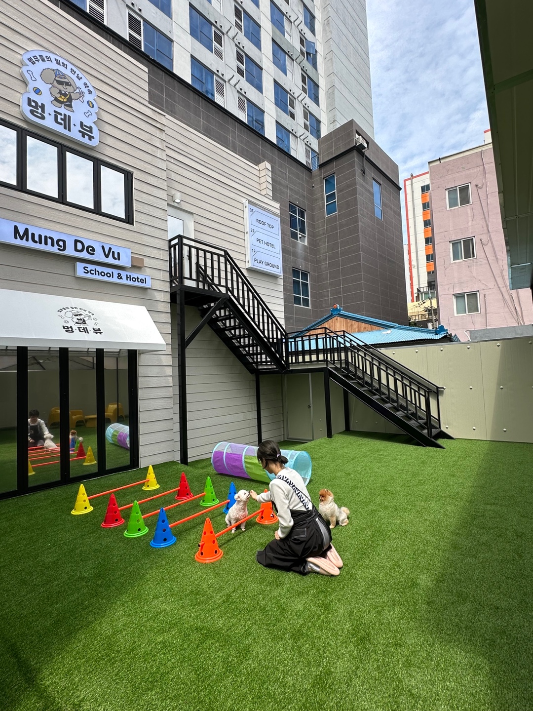 멍데뷰 강아지유치원 애견호텔 대표 이미지