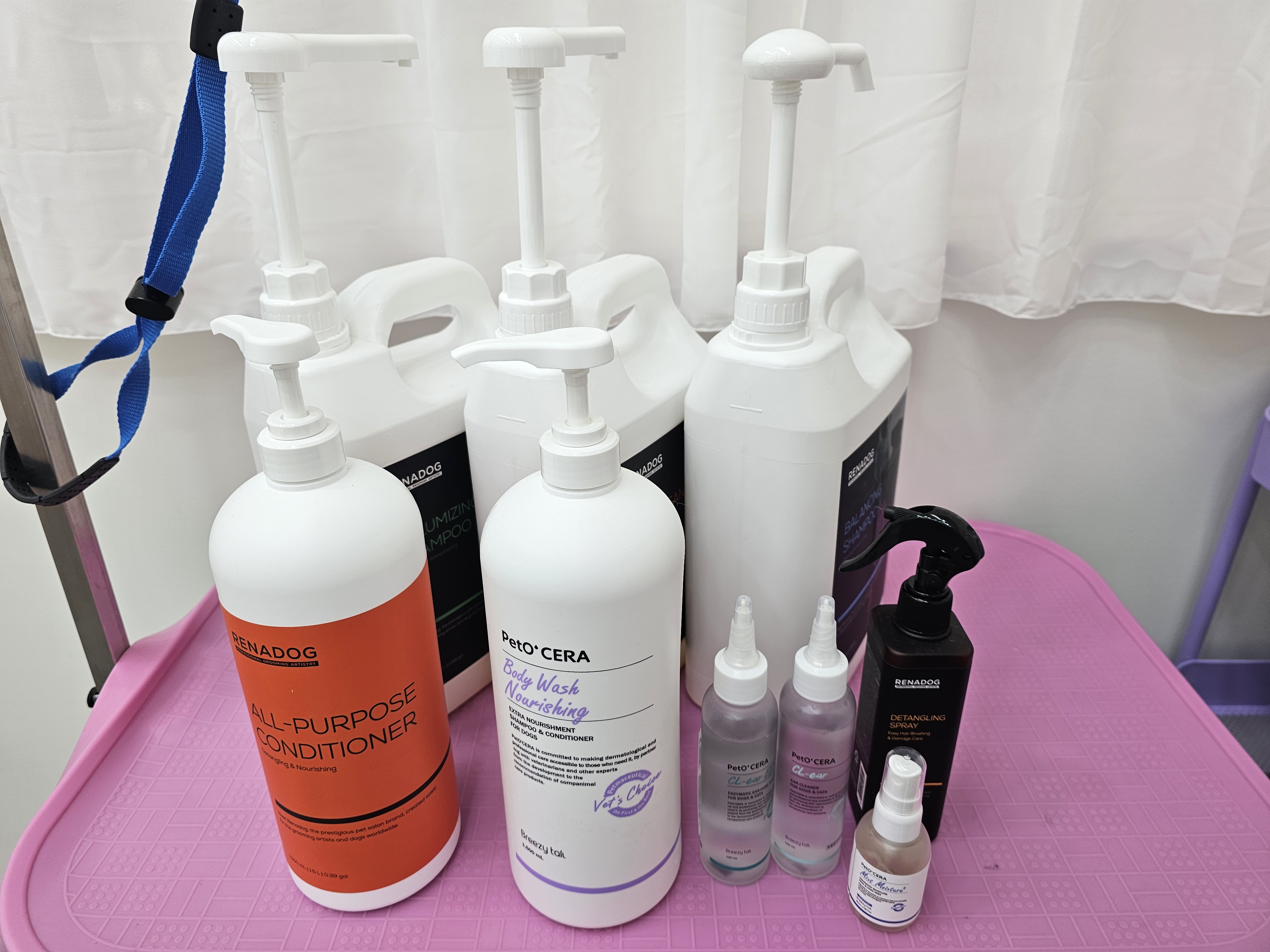 댕며들개 대표 이미지