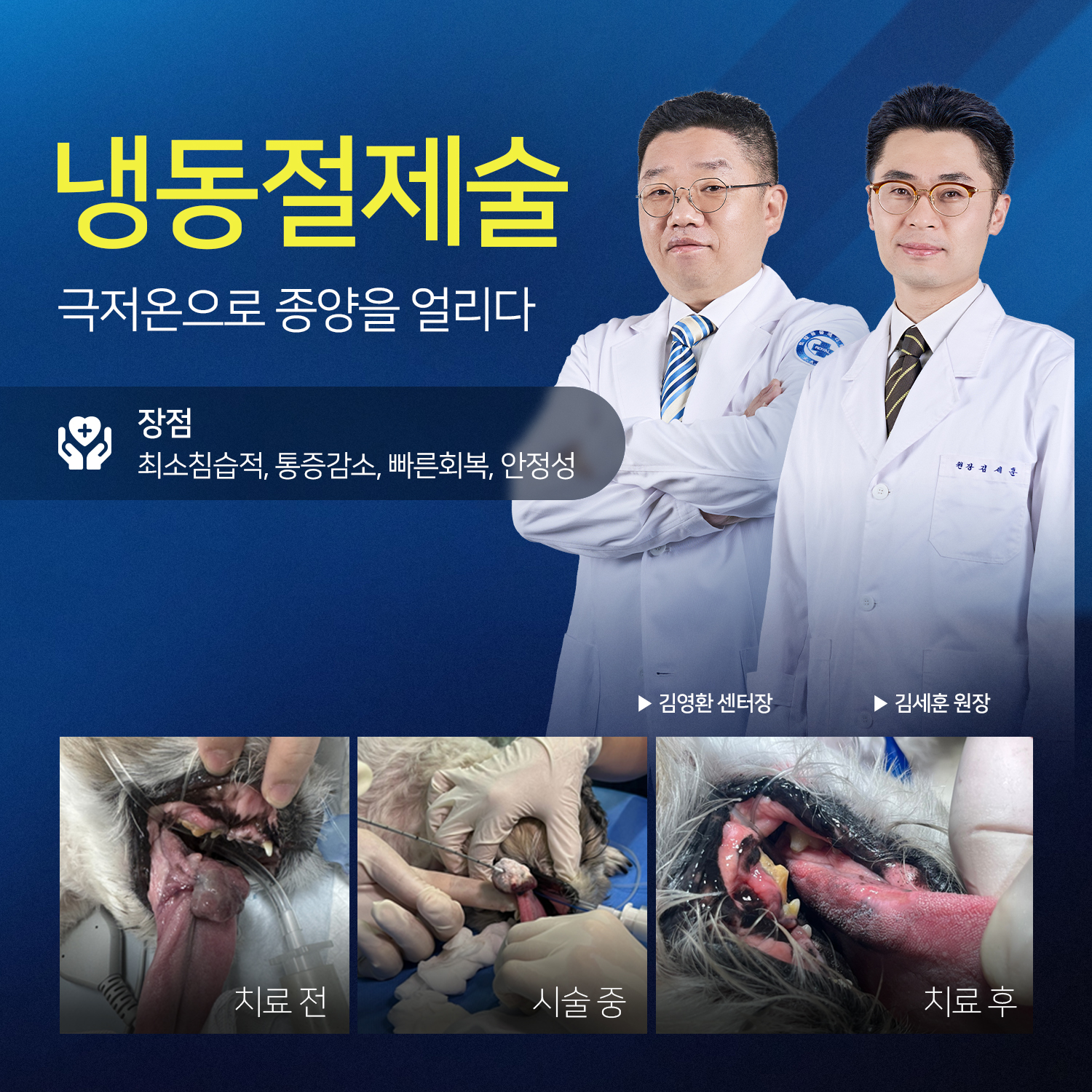 로얄동물메디컬센터 대표 이미지