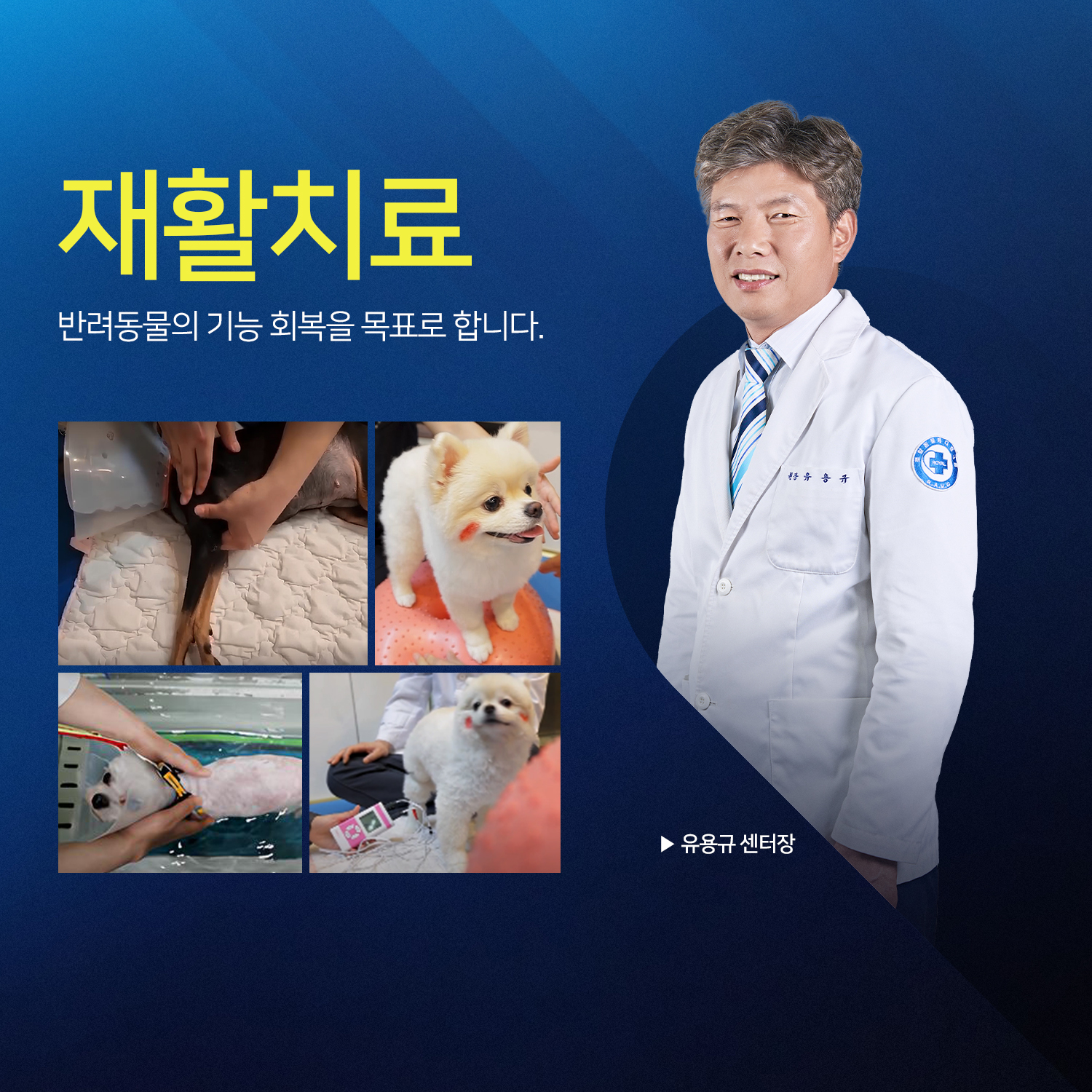 로얄동물메디컬센터 본원 대표 이미지