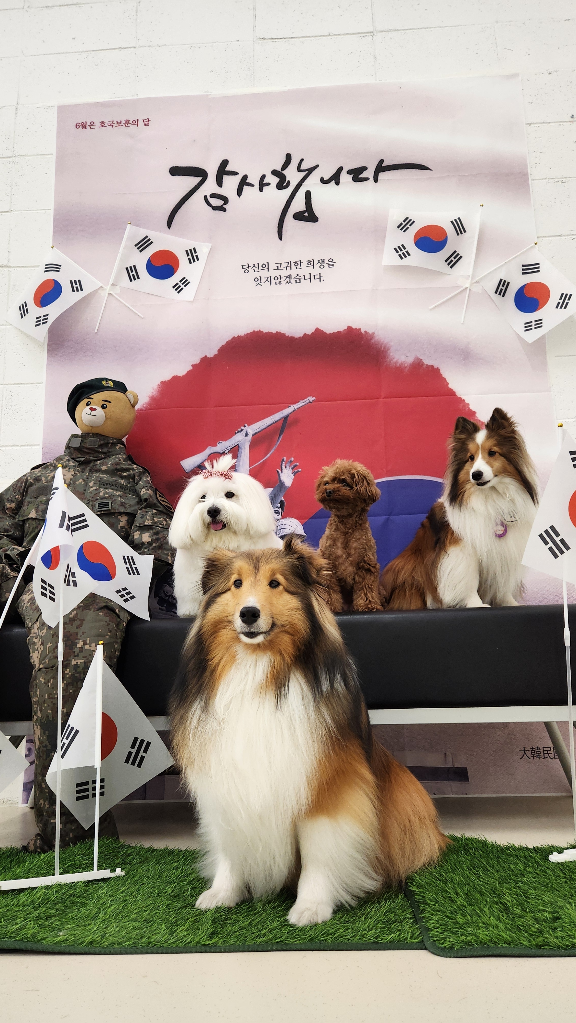 바우라움 강아지유치원&호텔 메인캠퍼스 대표 이미지