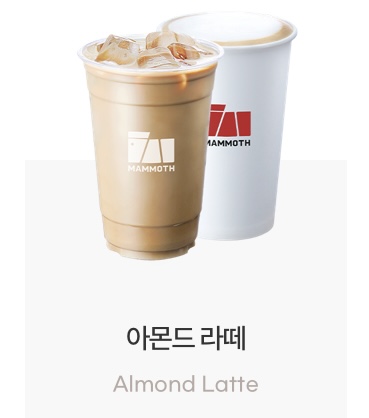 매머드익스프레스마산