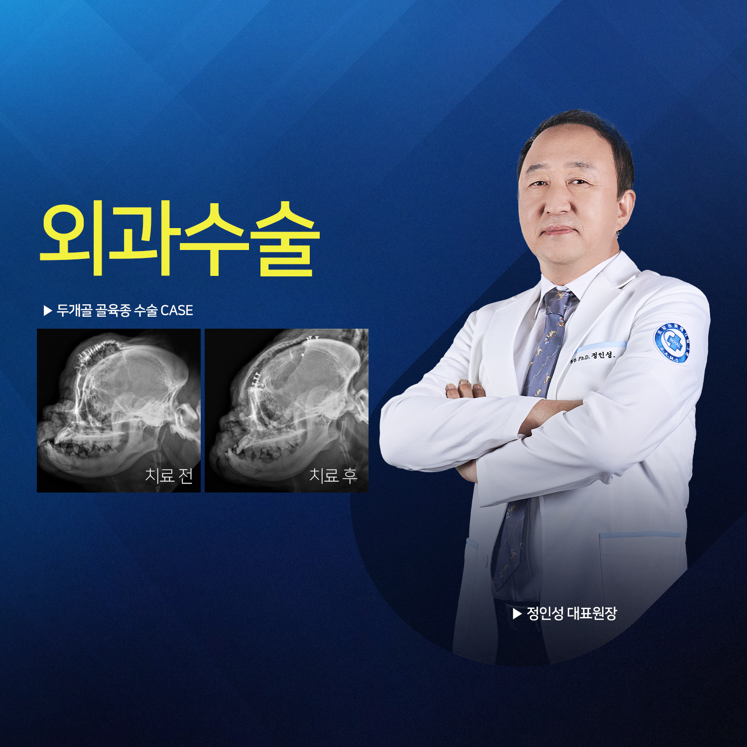 로얄동물메디컬센터 본원 대표 이미지