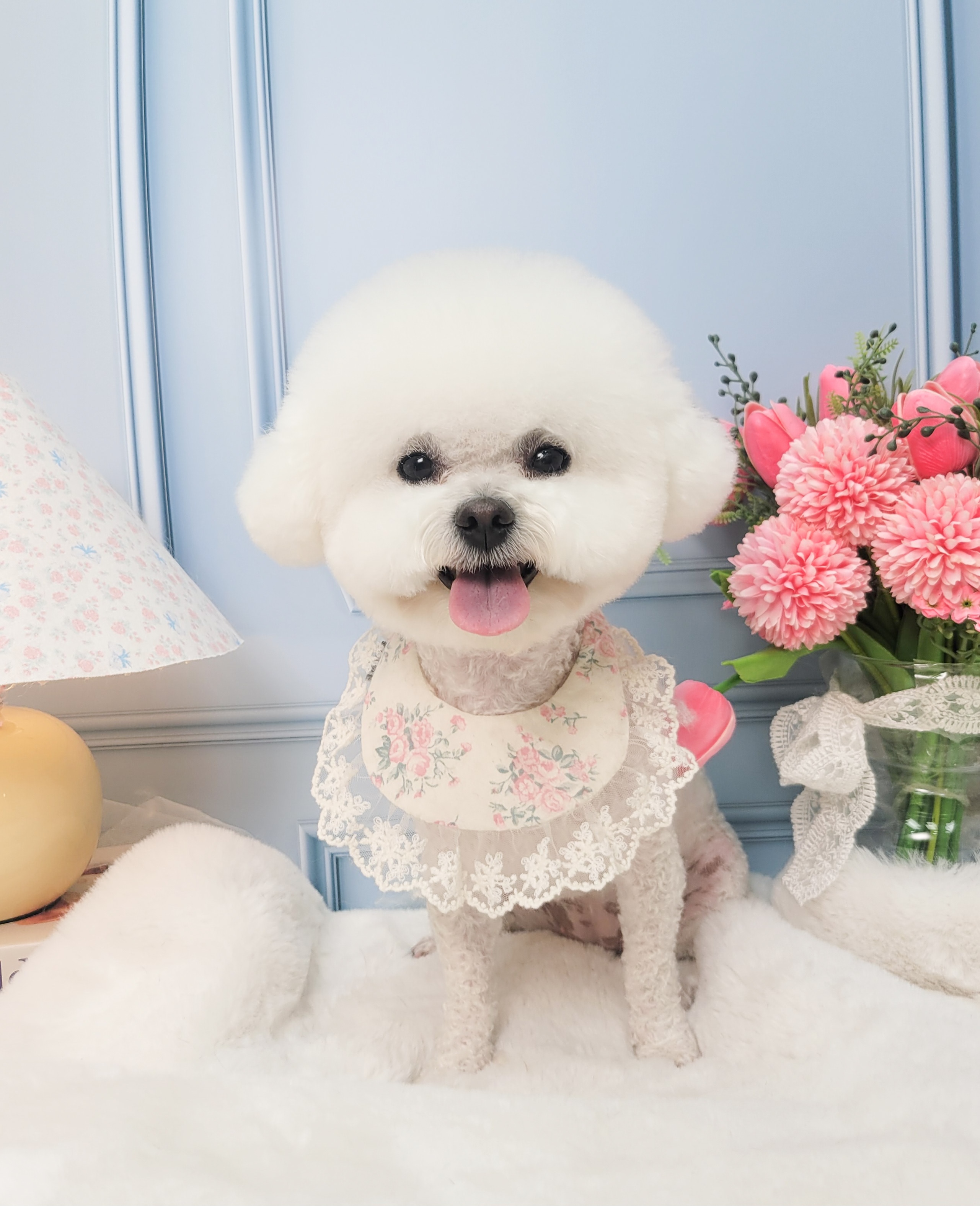 헤이몽 대표 이미지