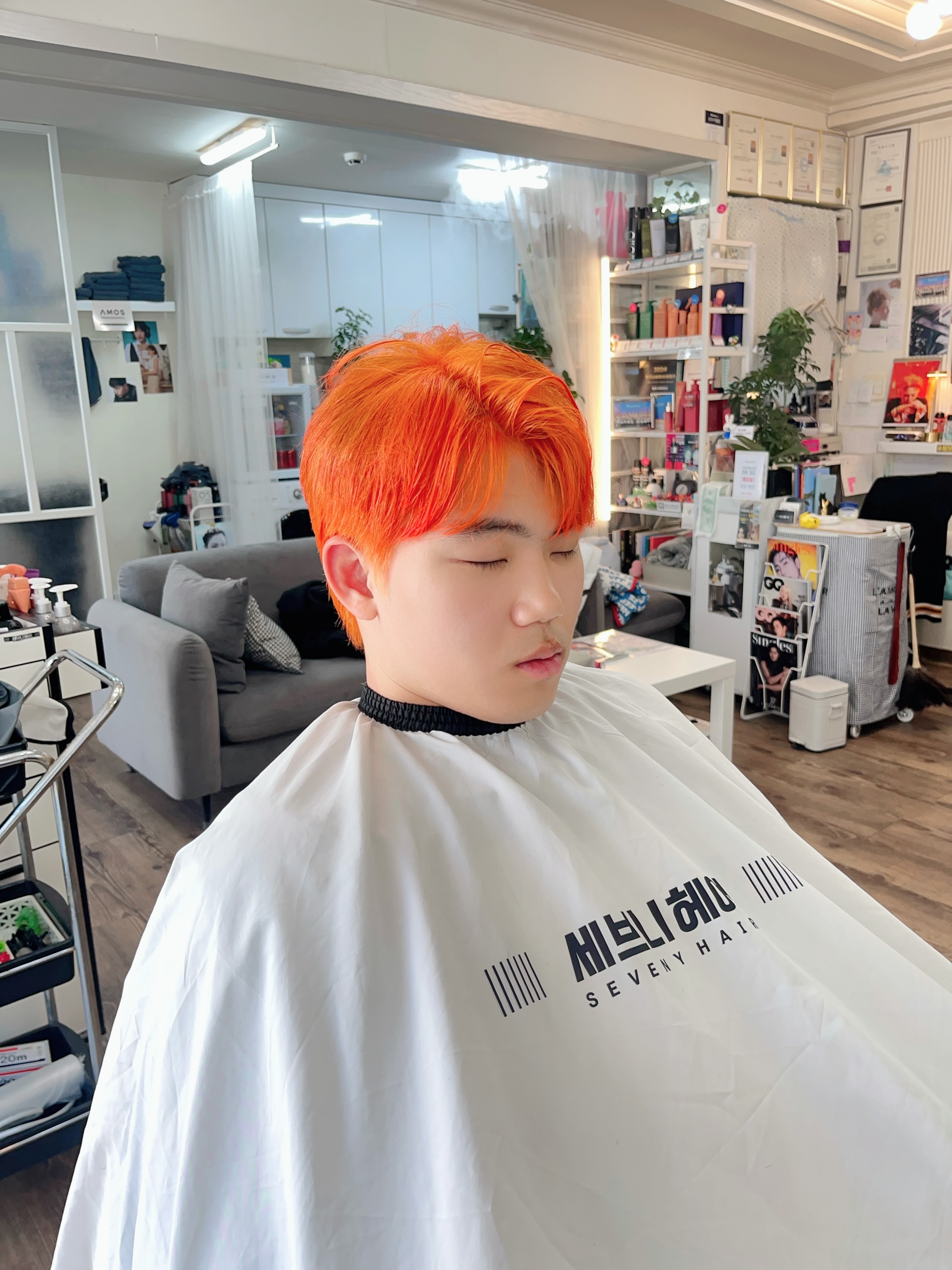 나의오렌지나무