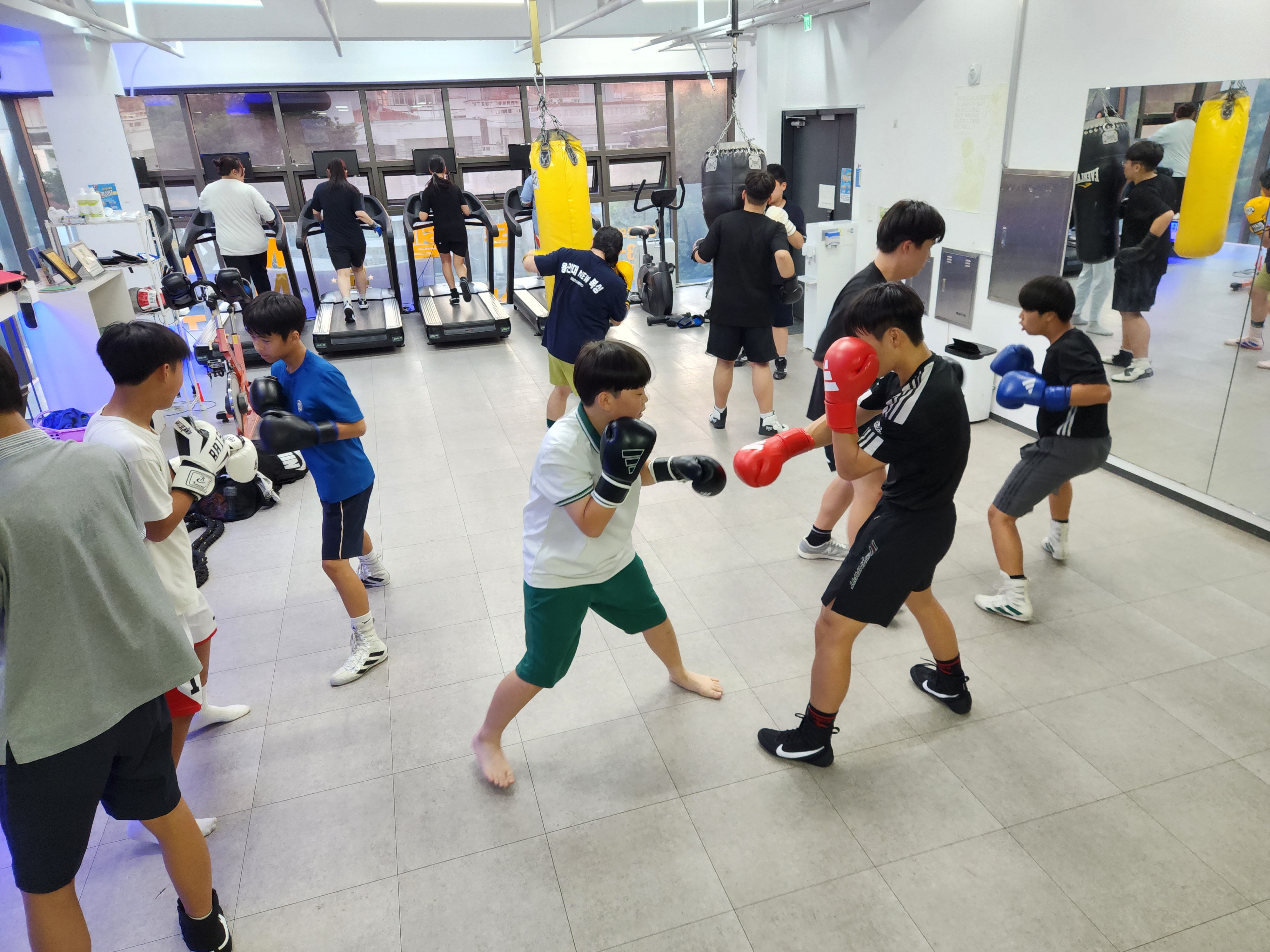 제주 서귀포시 동홍중앙로 복싱체육관 용인대NEW복싱 동홍2호점 내부 모습 2