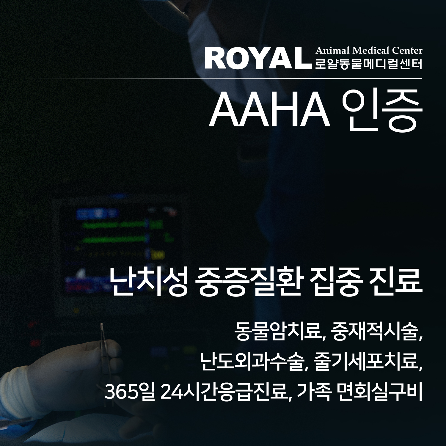 로얄동물메디컬센터 본원 대표 이미지