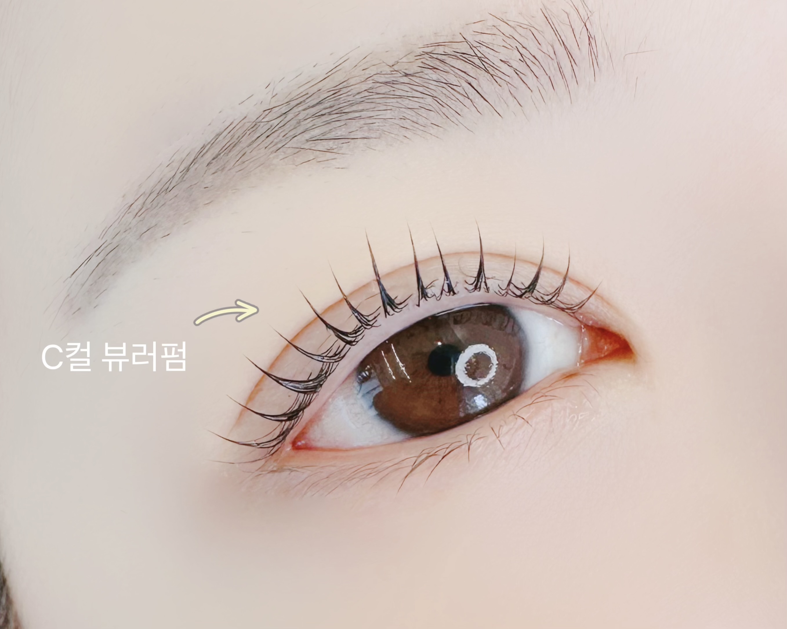 홍샵 송산그린시티점