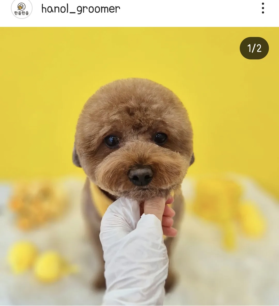 한올한올 대표 이미지