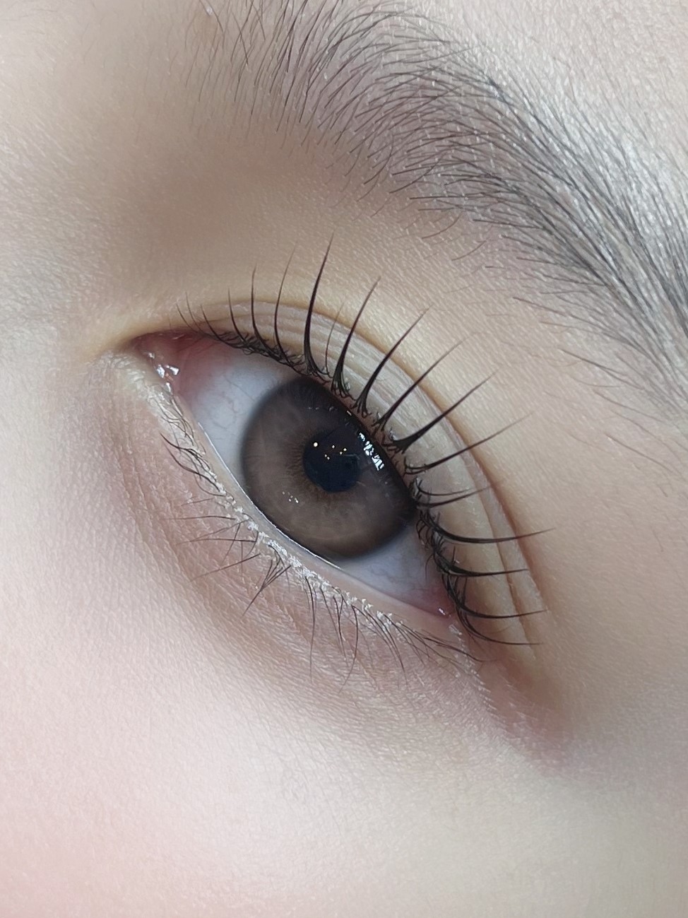 도도 디자인 대표 이미지