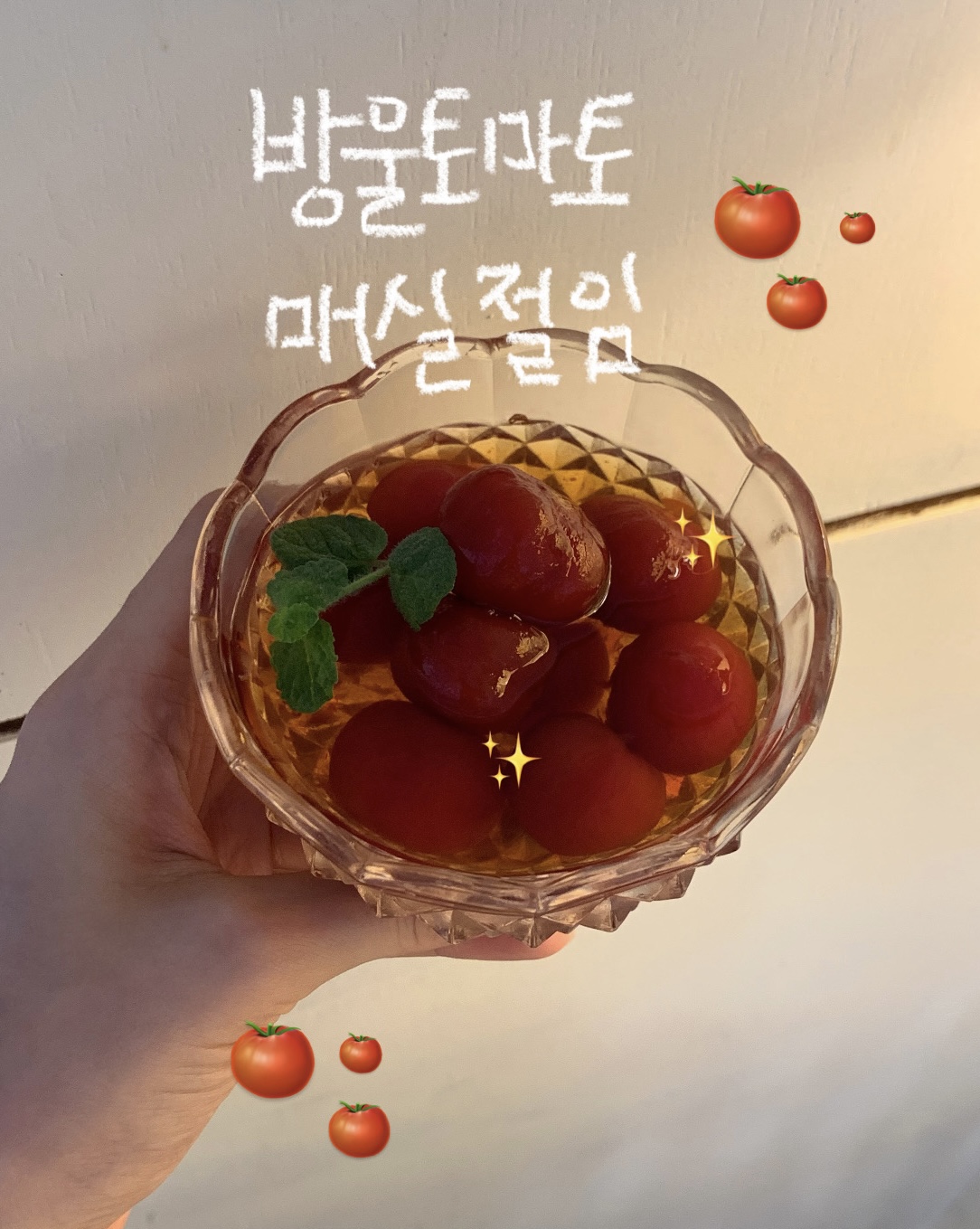 긍정식당 불당점 충청 애견맛집
