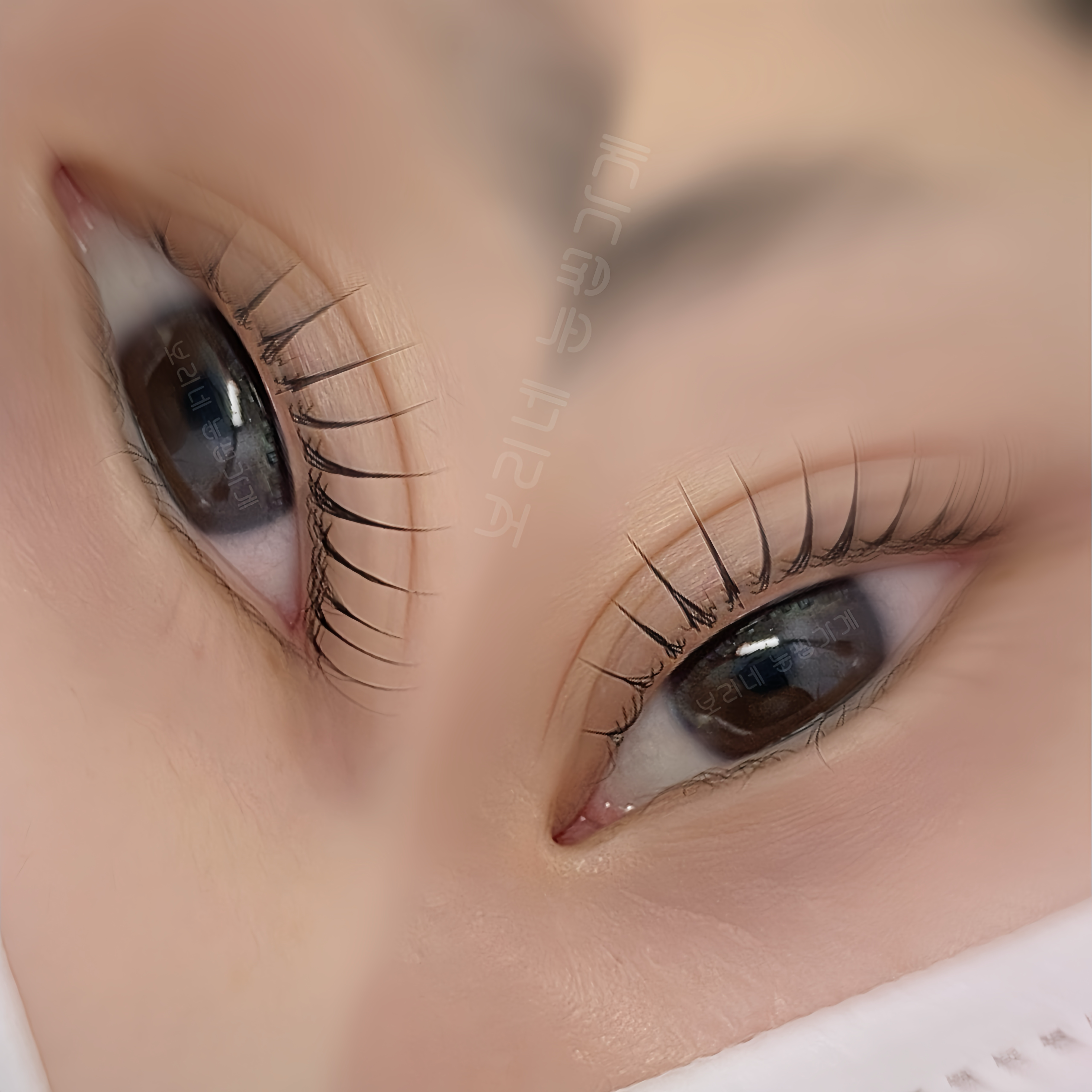 보리네눈썹가게 대표 이미지