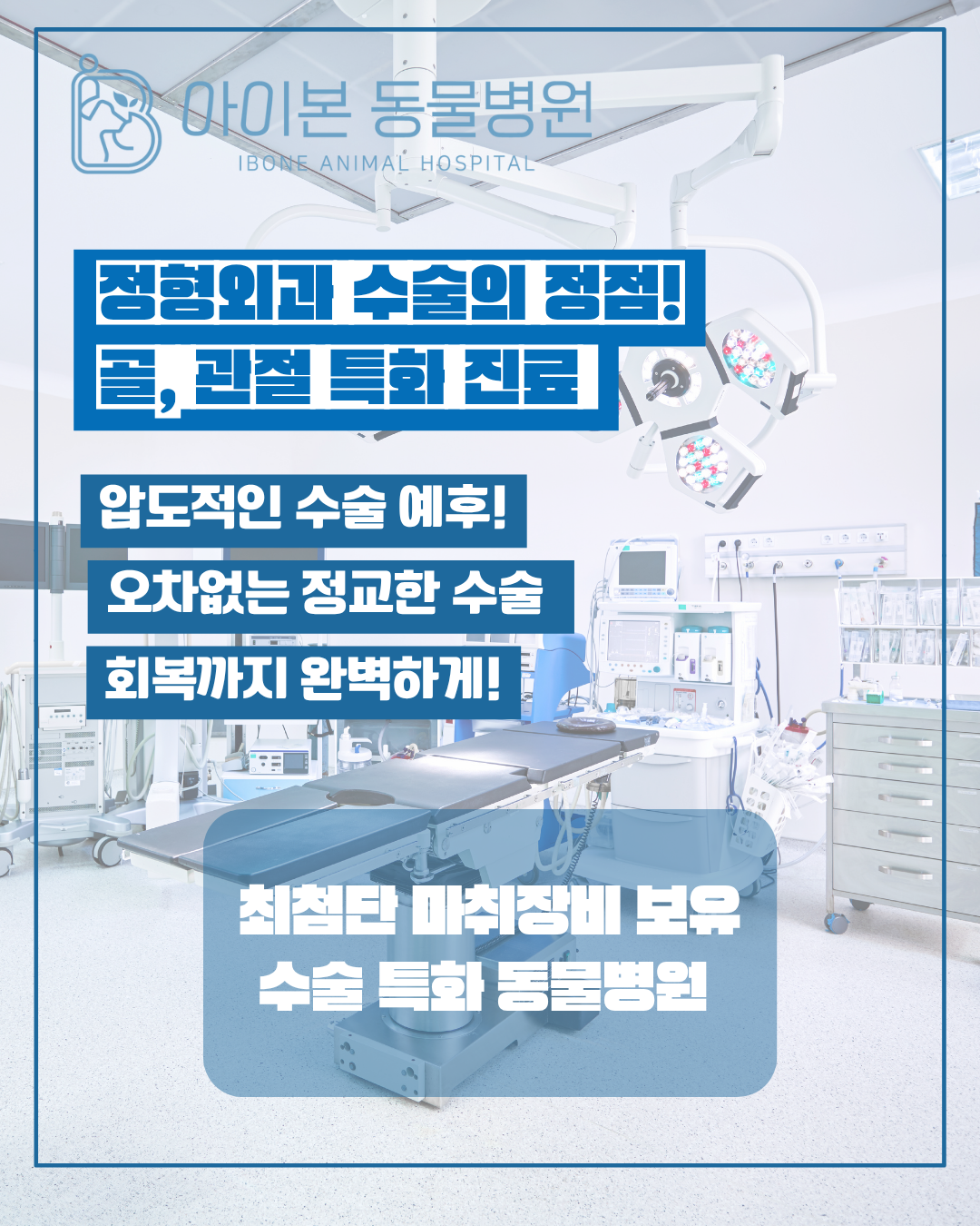아이본동물병원 대표 이미지