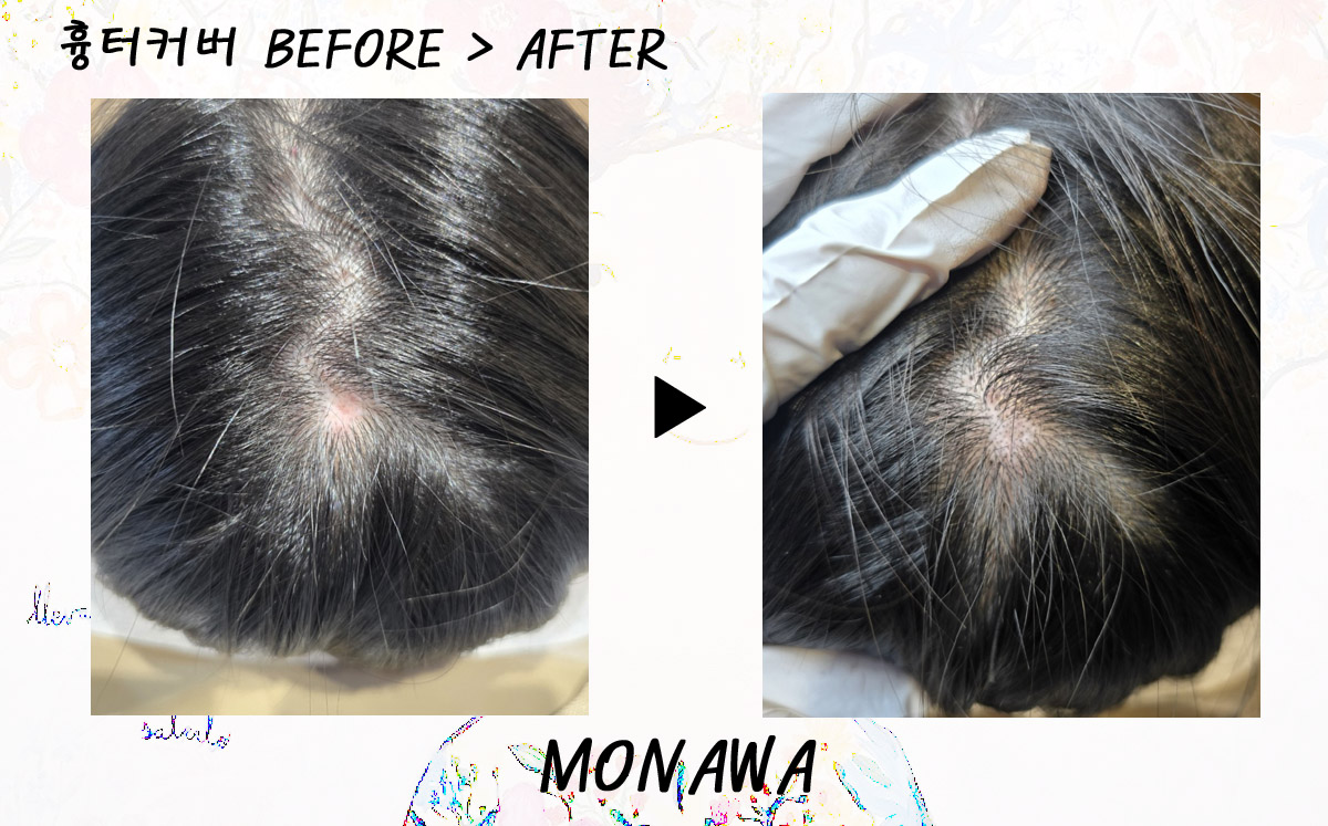 모나와 대표 이미지