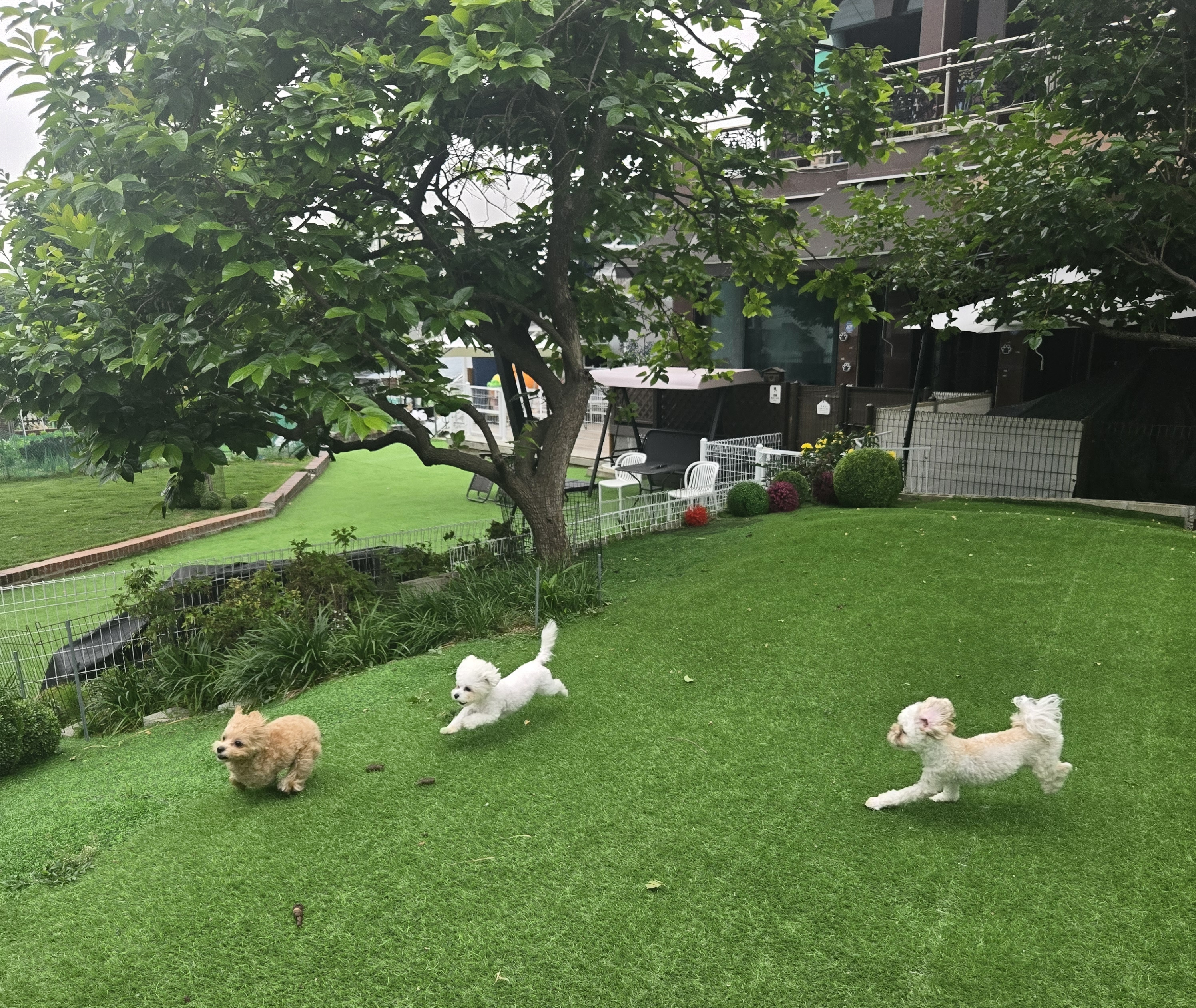 공항가까운전원주택펫시터 대표 이미지