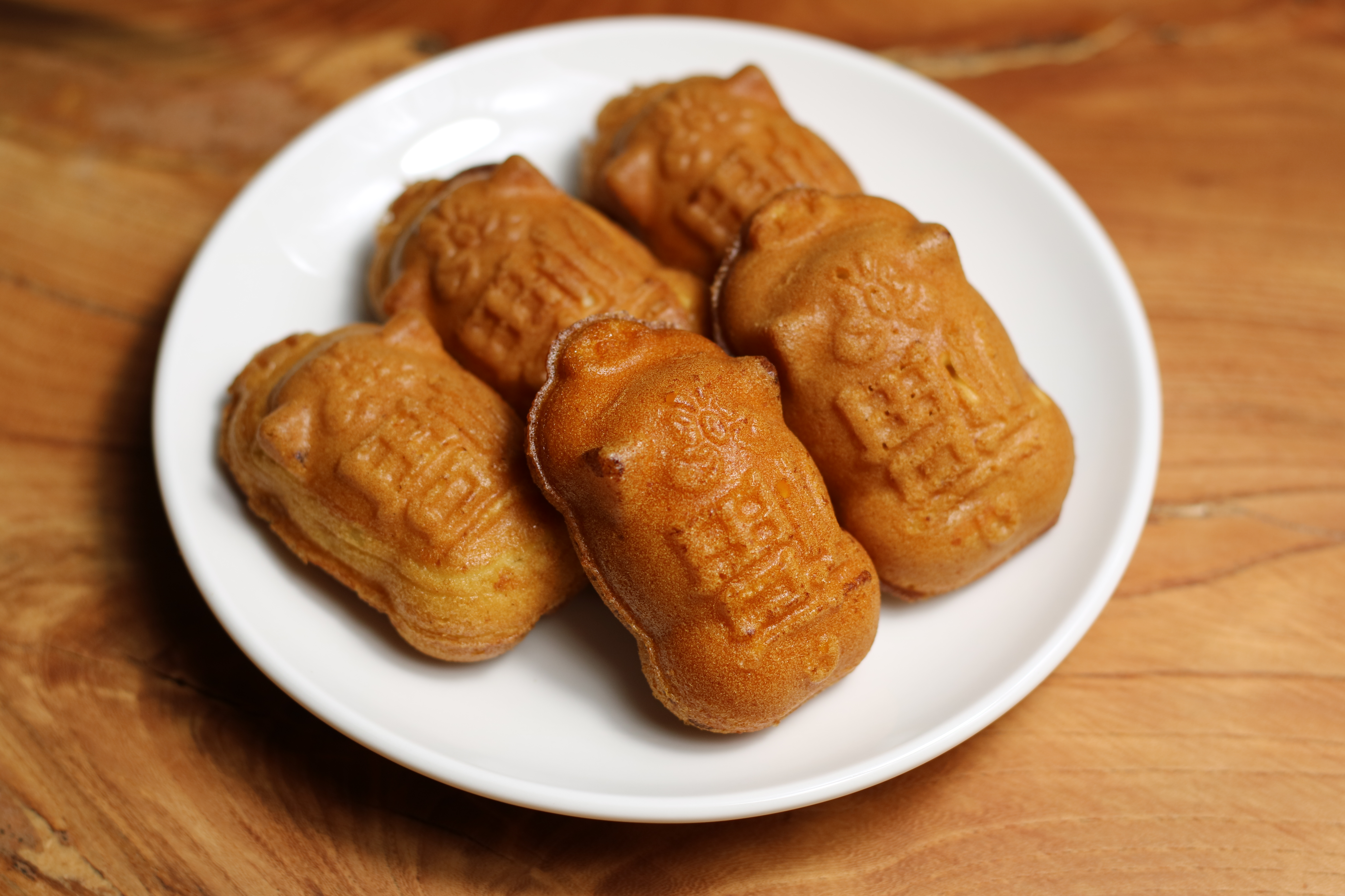 효효 경상 애견맛집