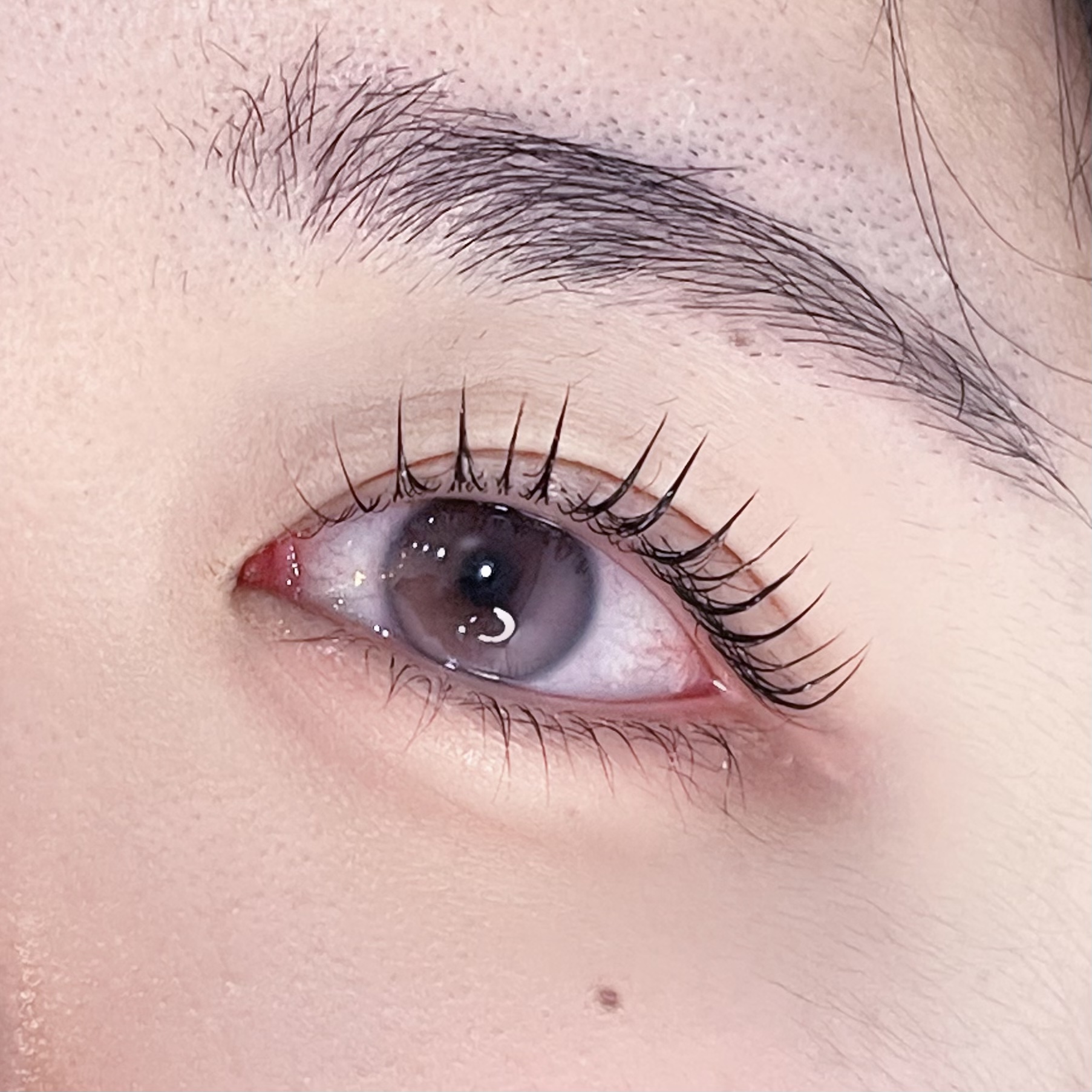 브로우랑 대표 이미지