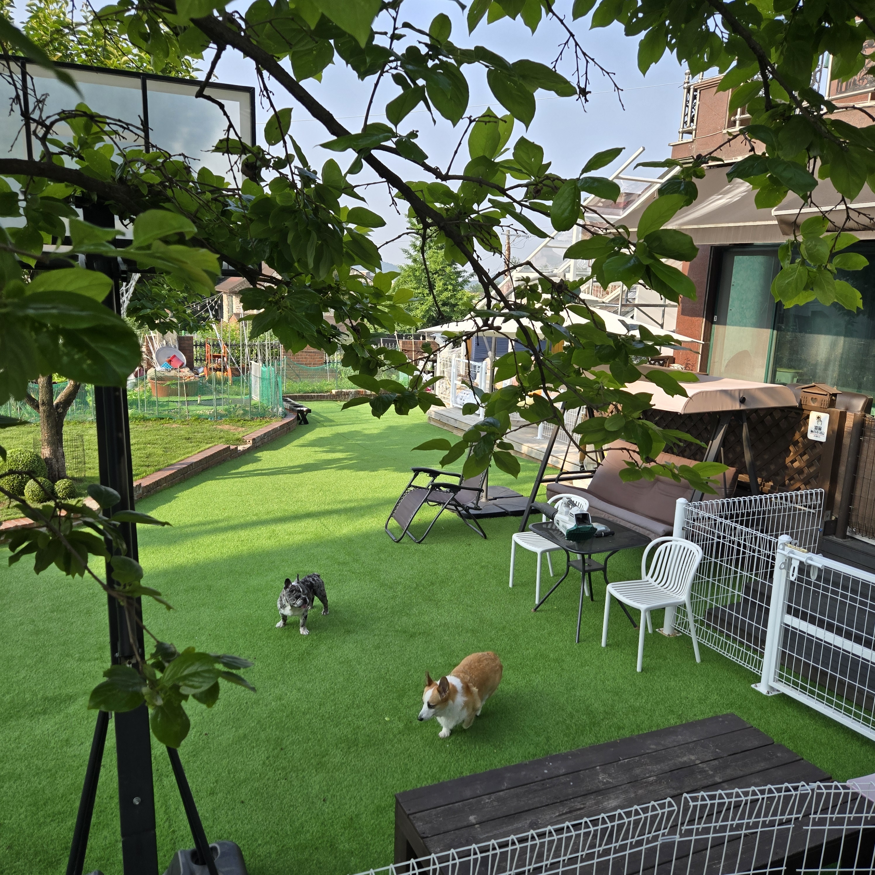 공항가까운전원주택펫시터 대표 이미지