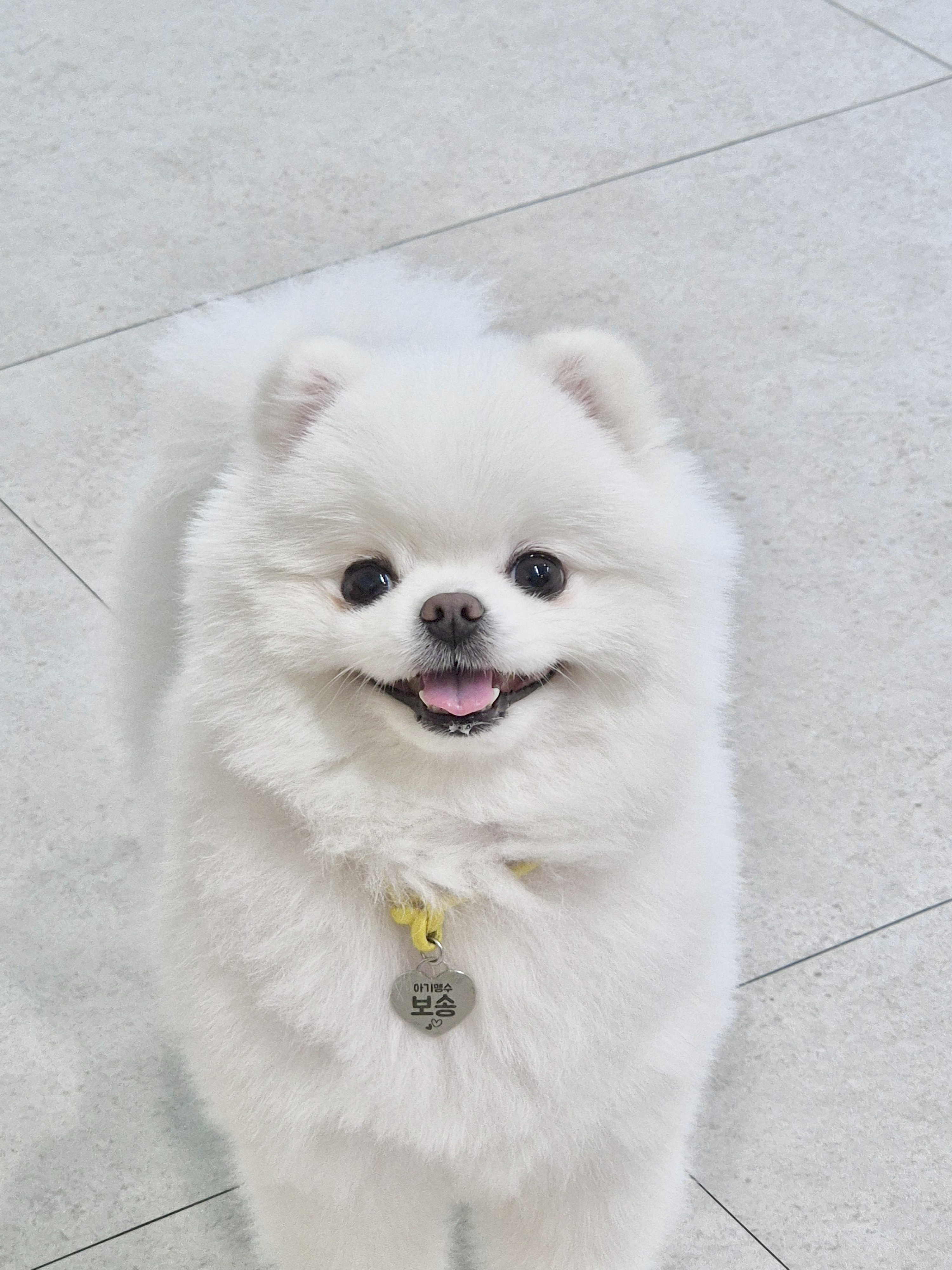 주견야독 2