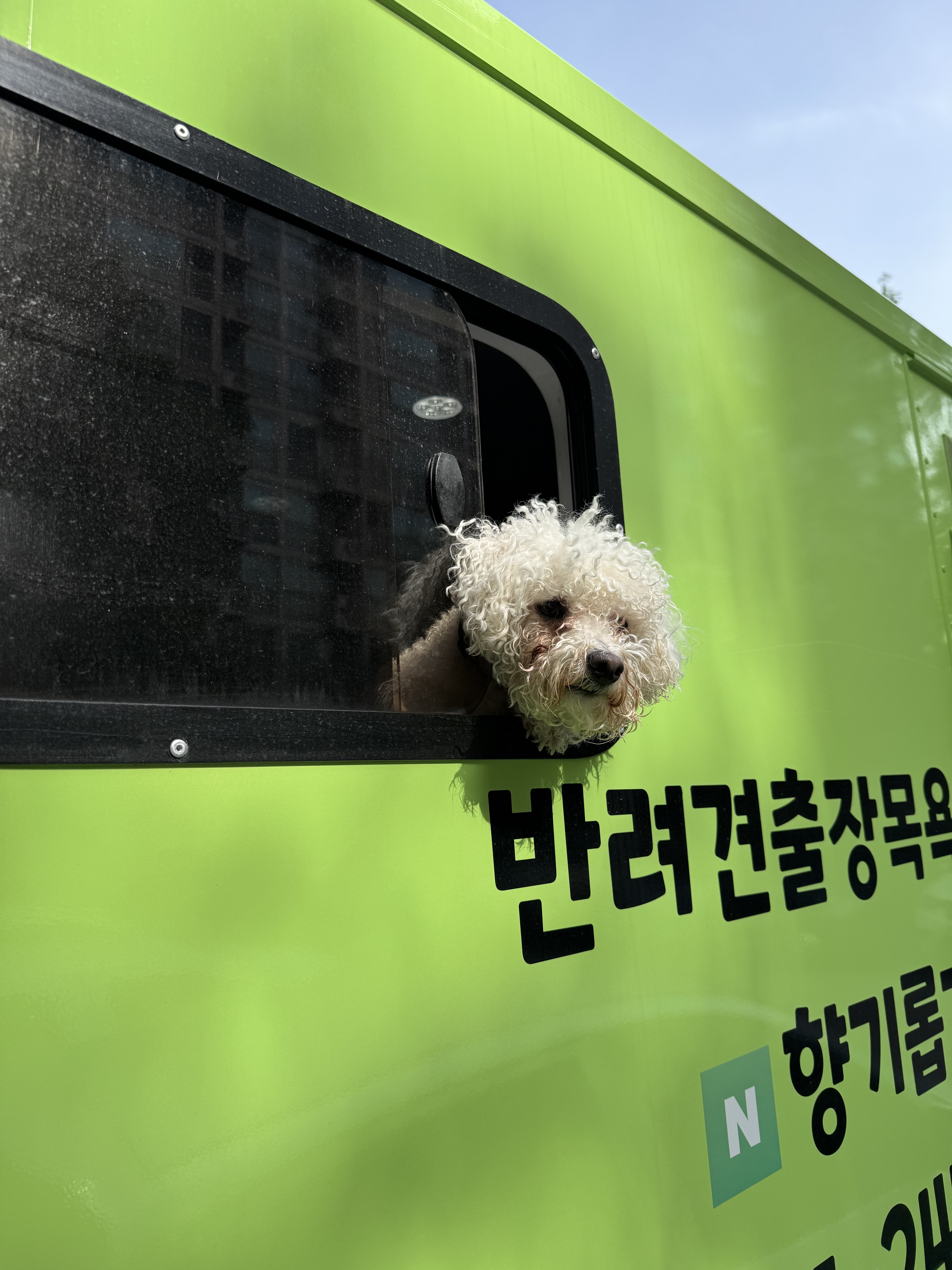 향기롭개 대표 이미지