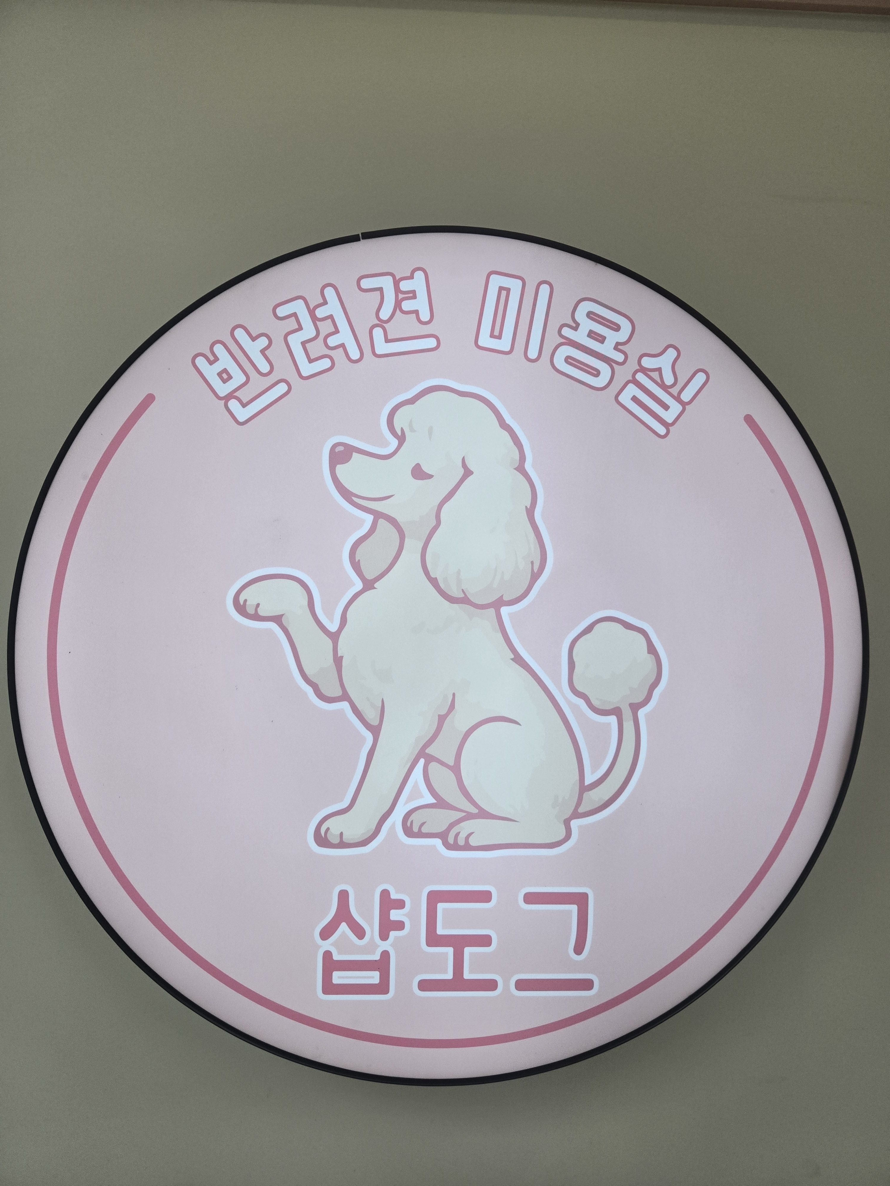 샵도그 대표 이미지