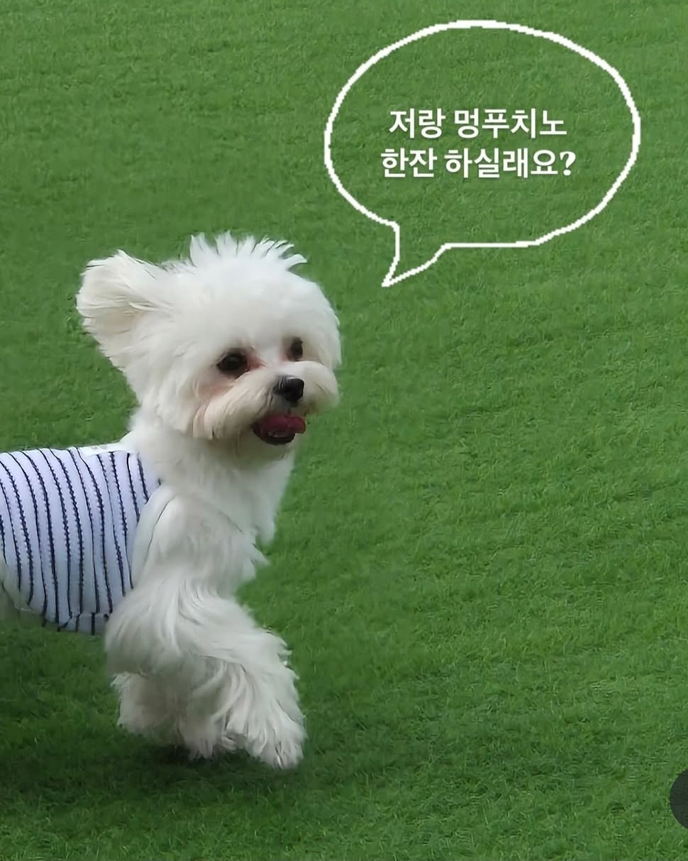 카페404 4