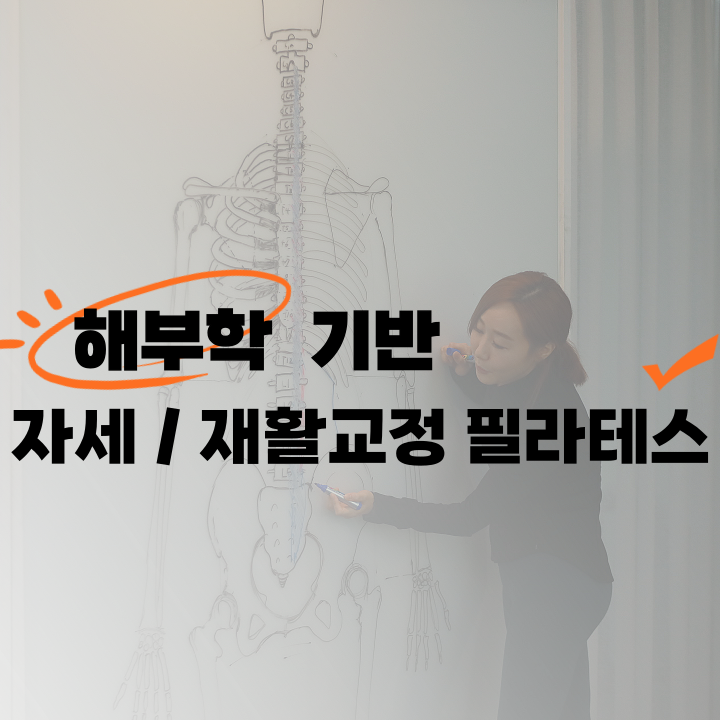 바디앤솔 필라테스 대표 이미지