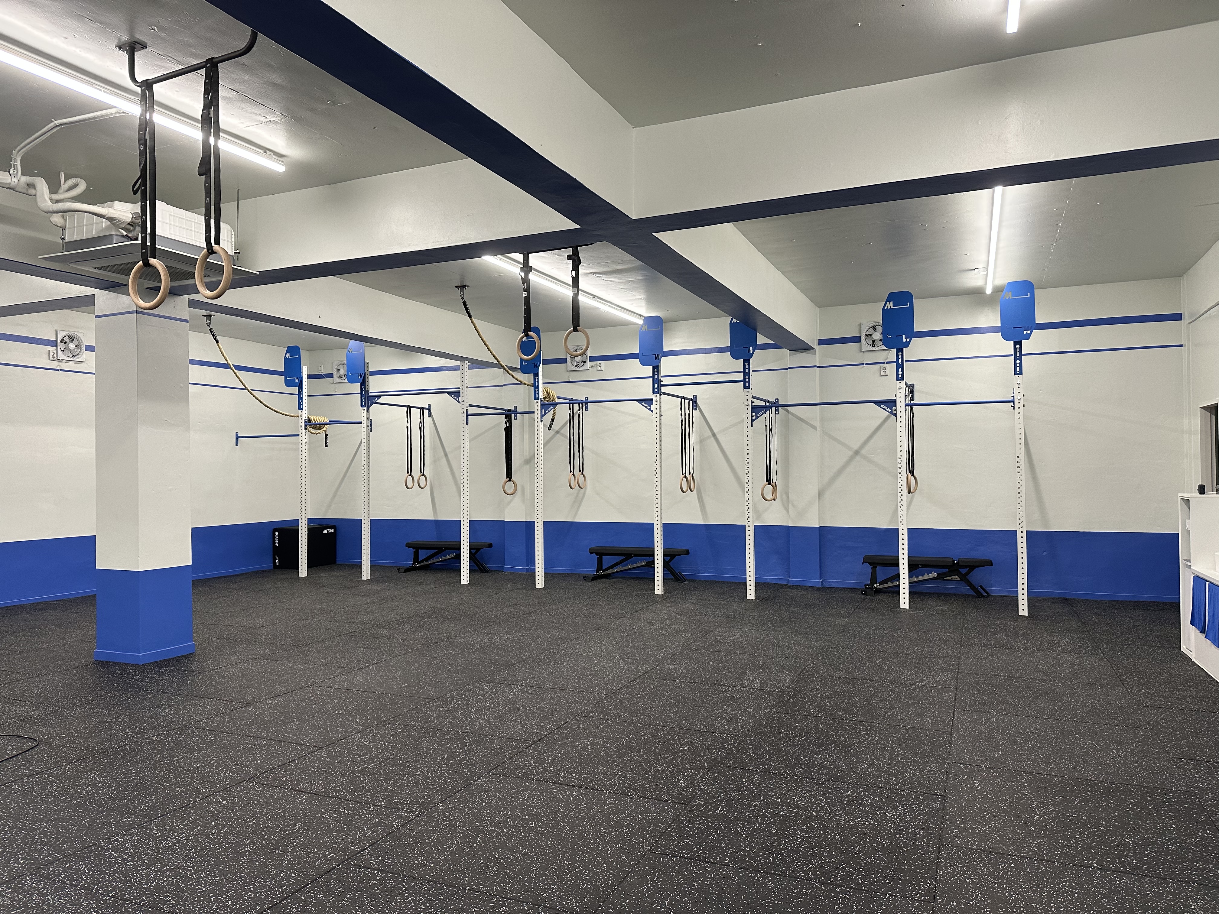 트레이닝파란 대표 이미지