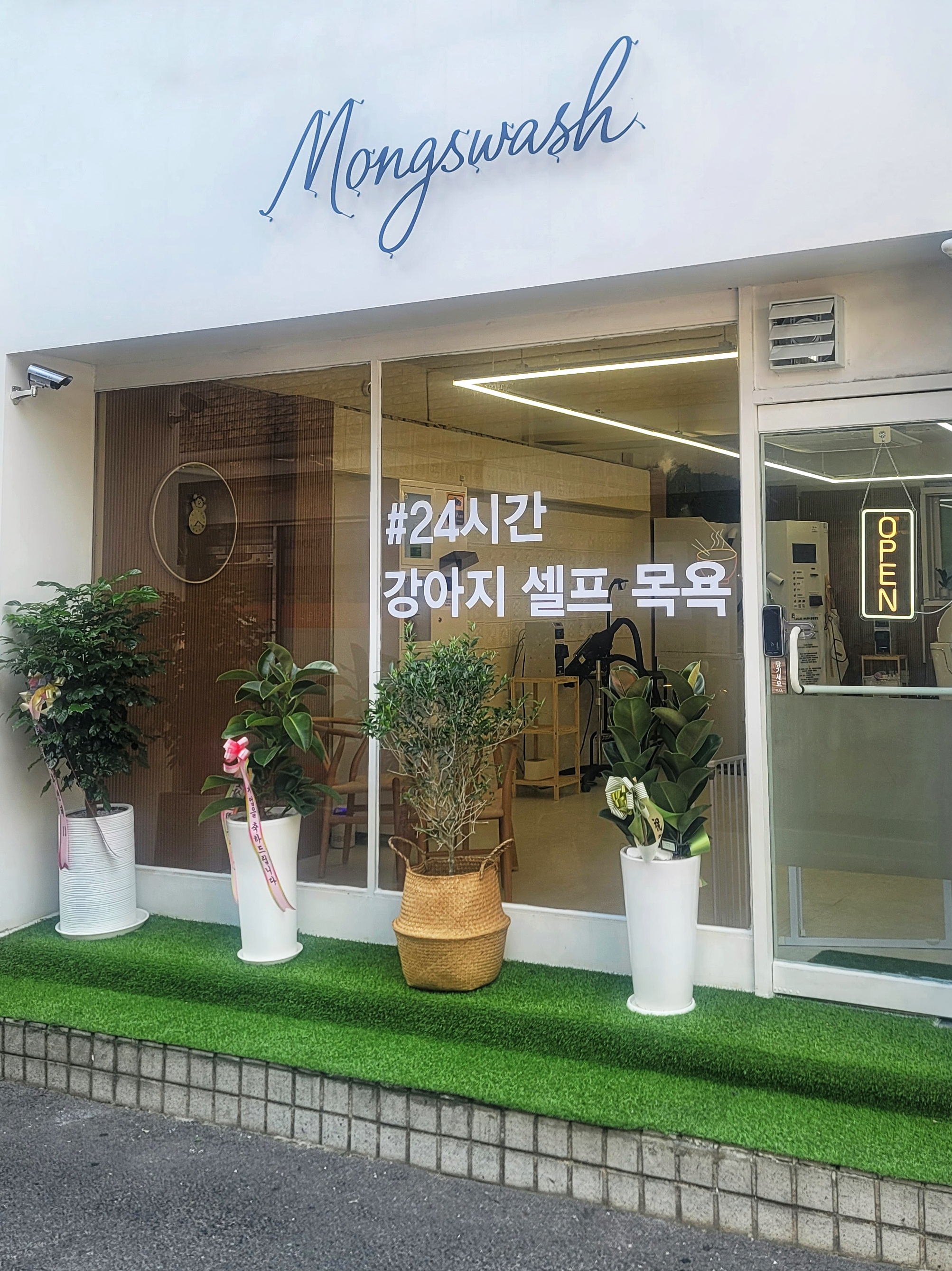 몽스워시 대표 이미지