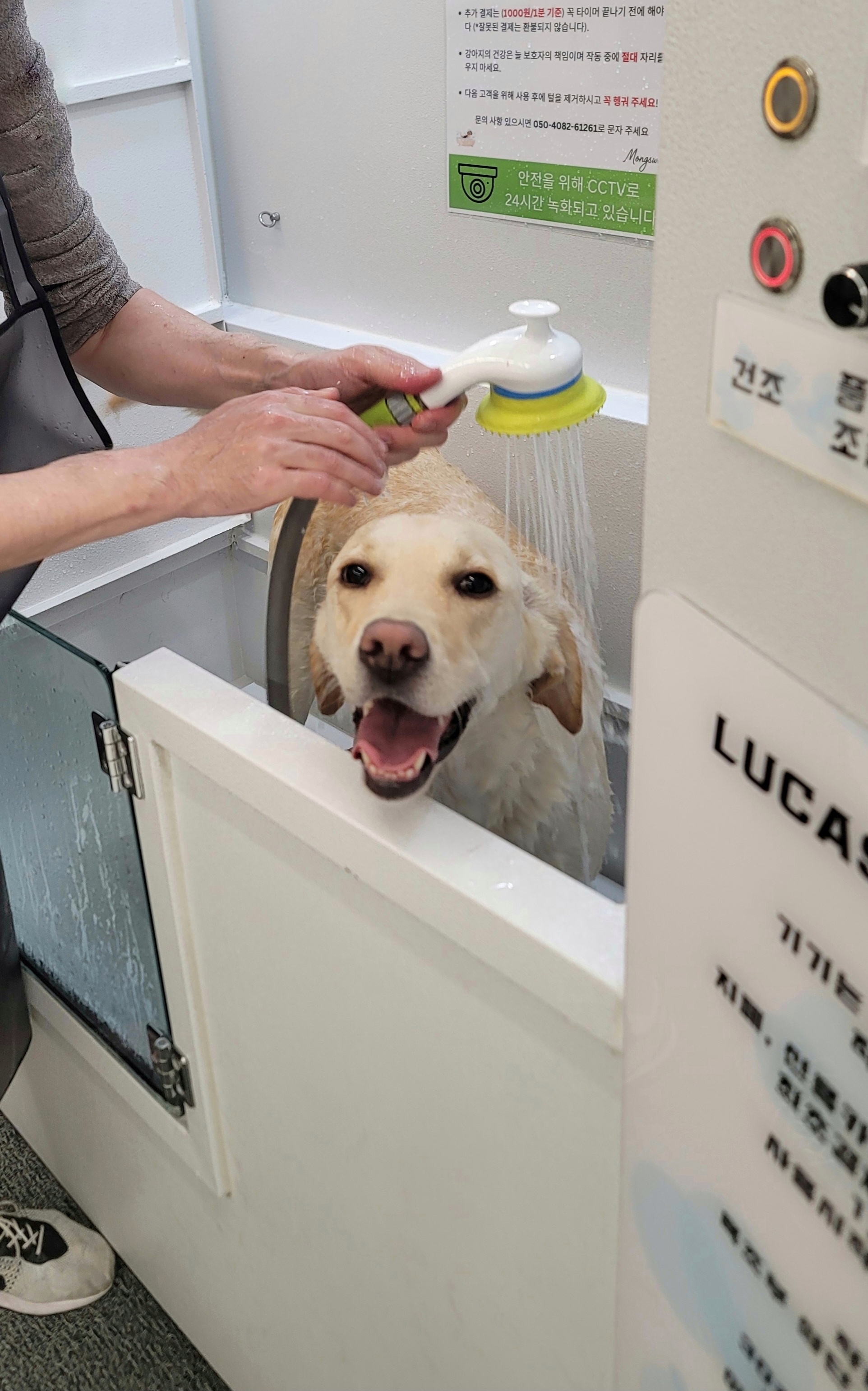 몽스워시 대표 이미지