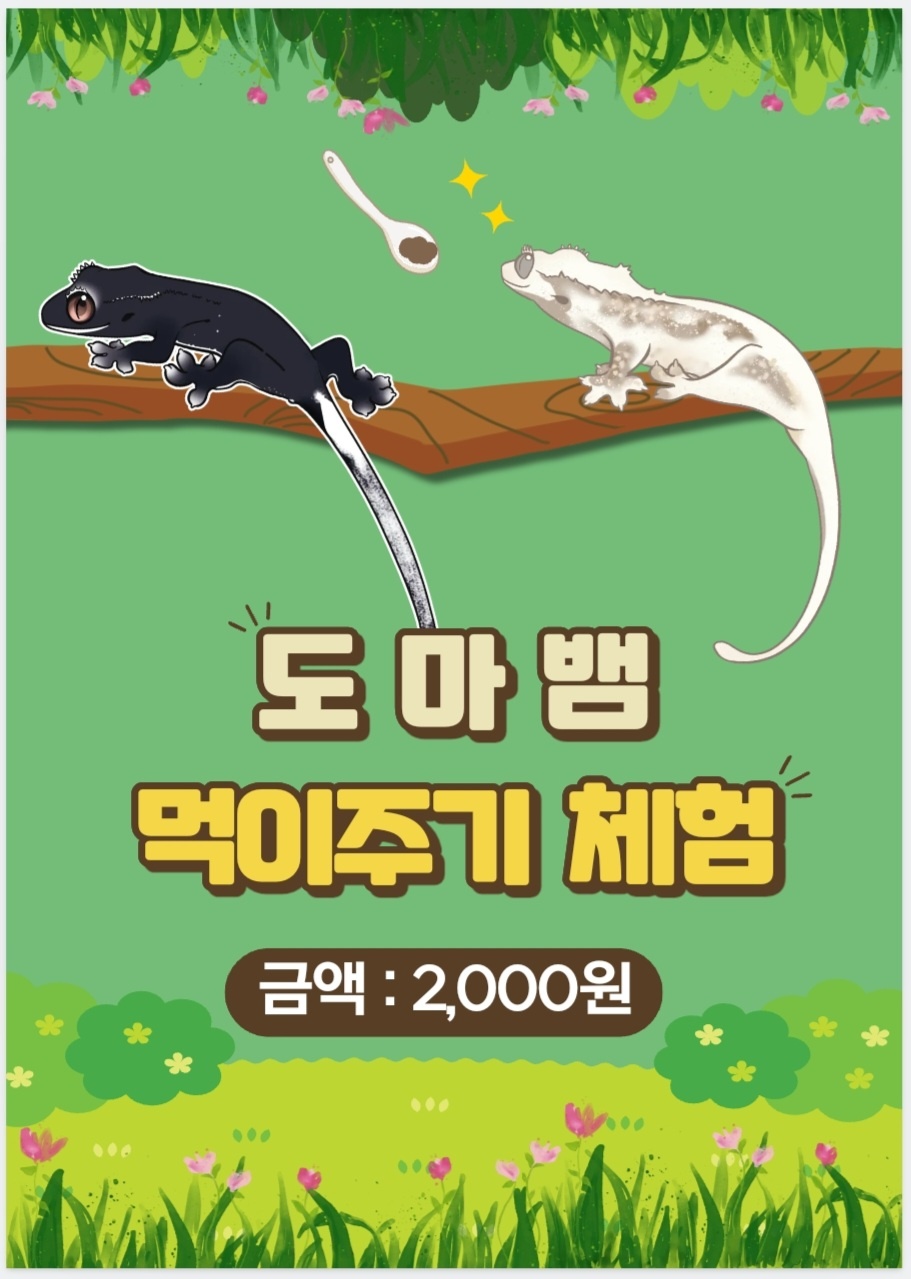 파충류카페보담 4