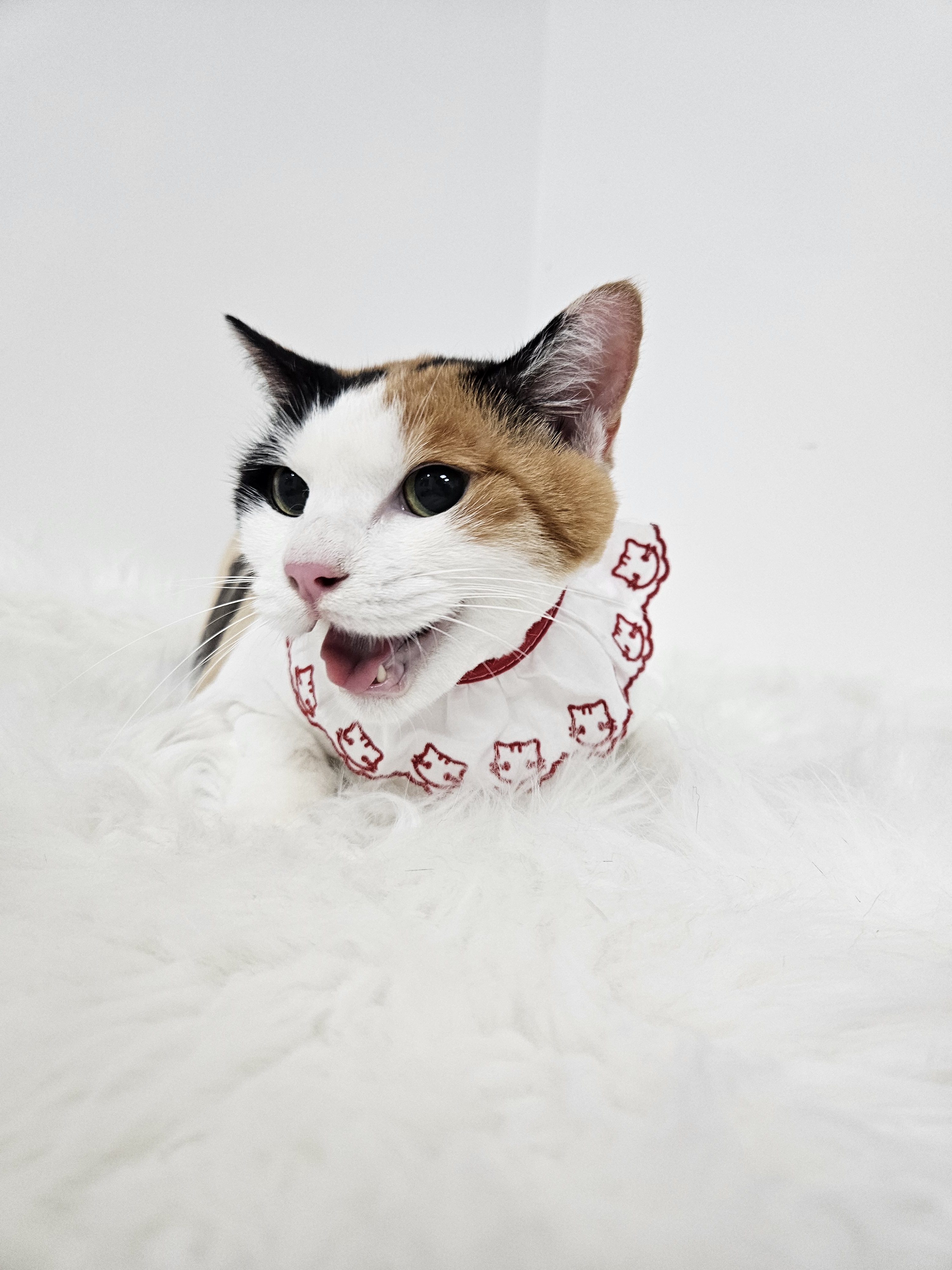 냥스터치 대표 이미지