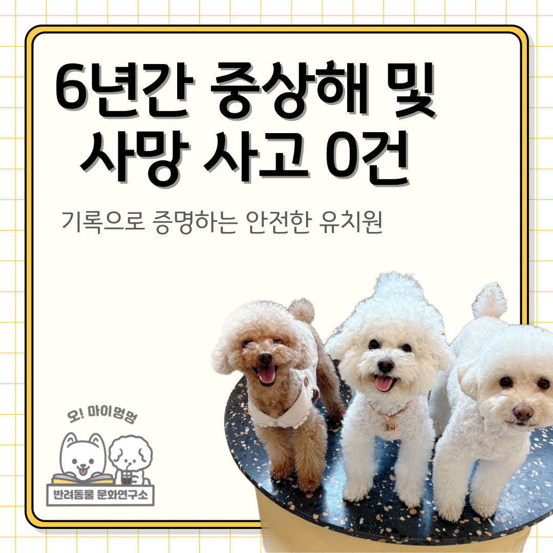 사진 1