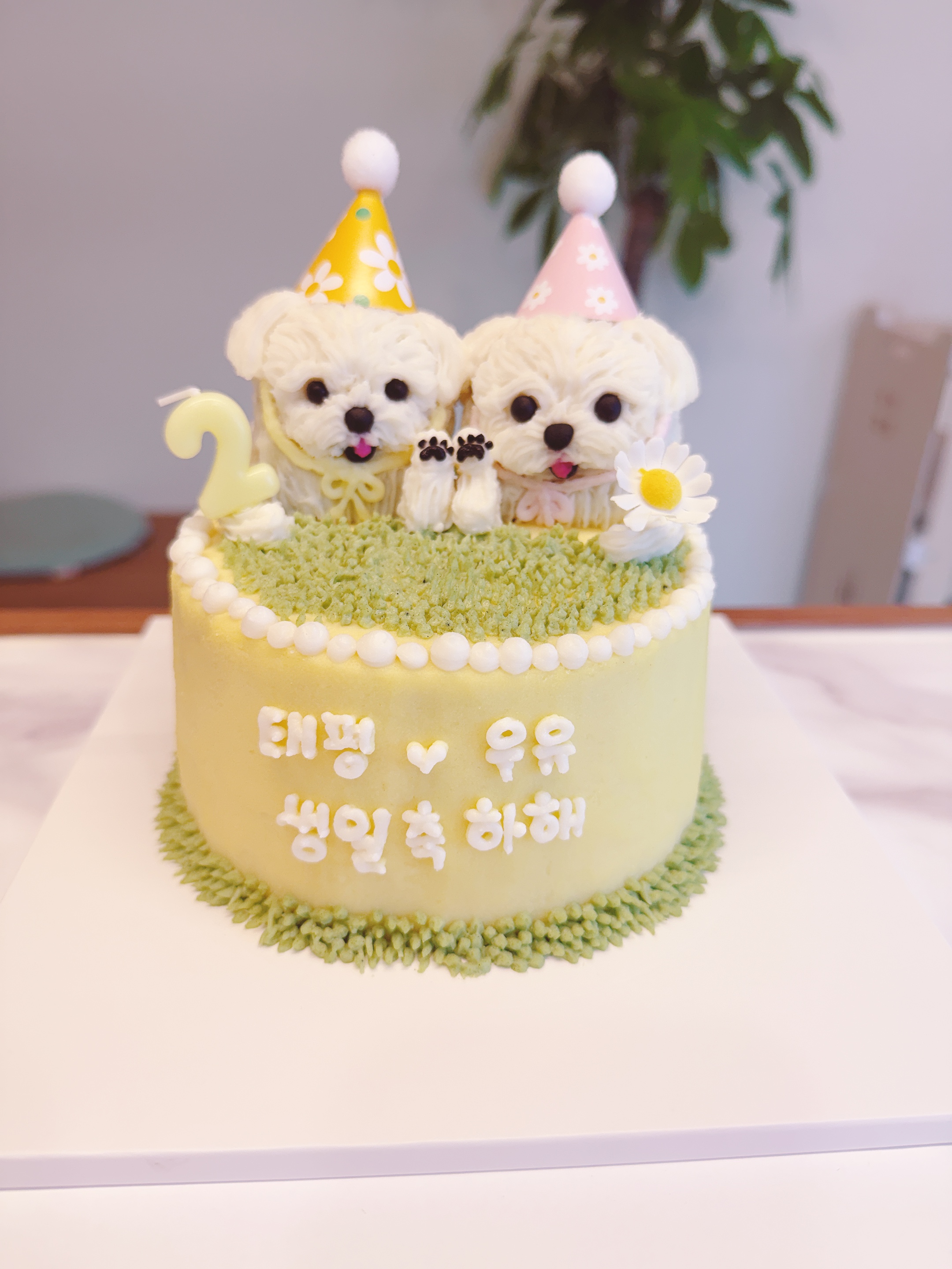 견생개꿀 대표 이미지