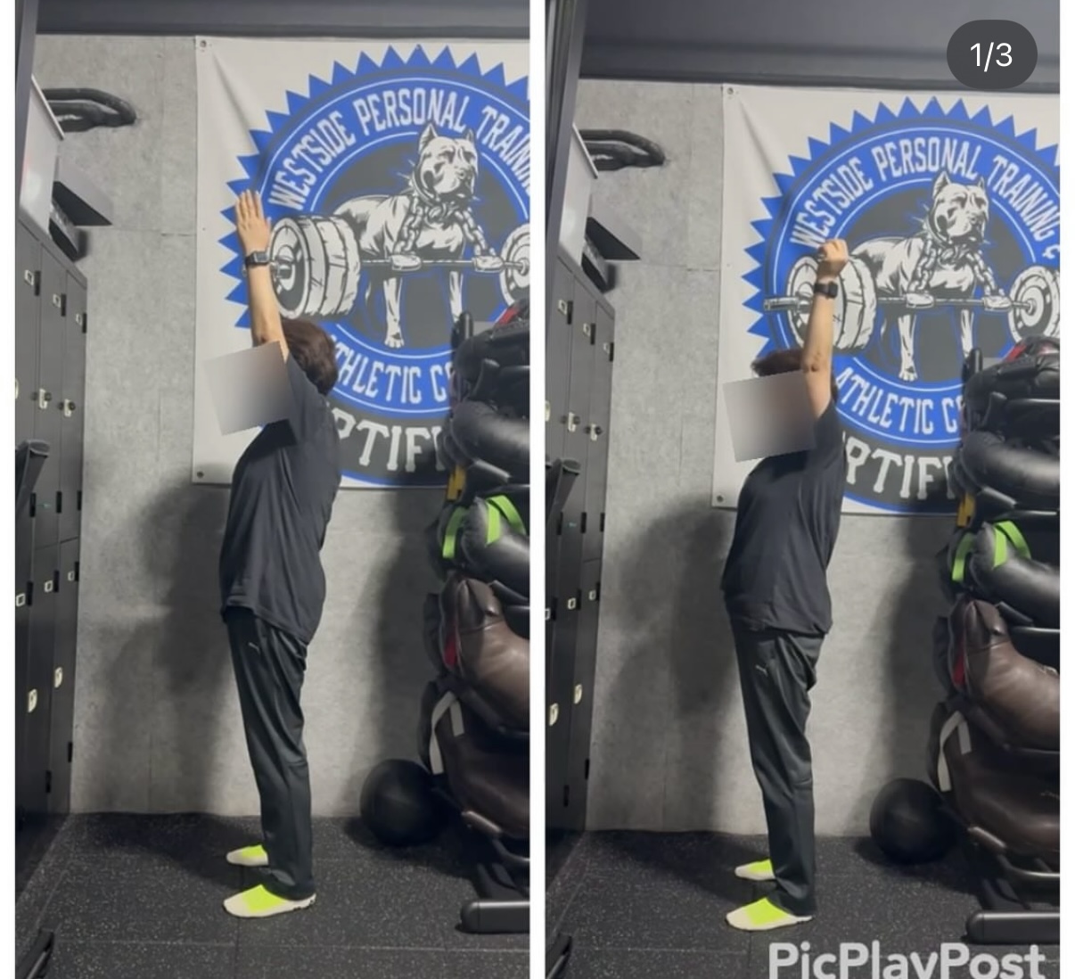 샤크짐 대표 이미지