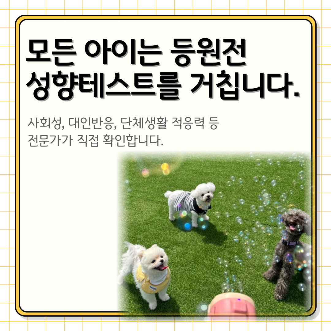 오마이멍멍 반려동물문화연구소